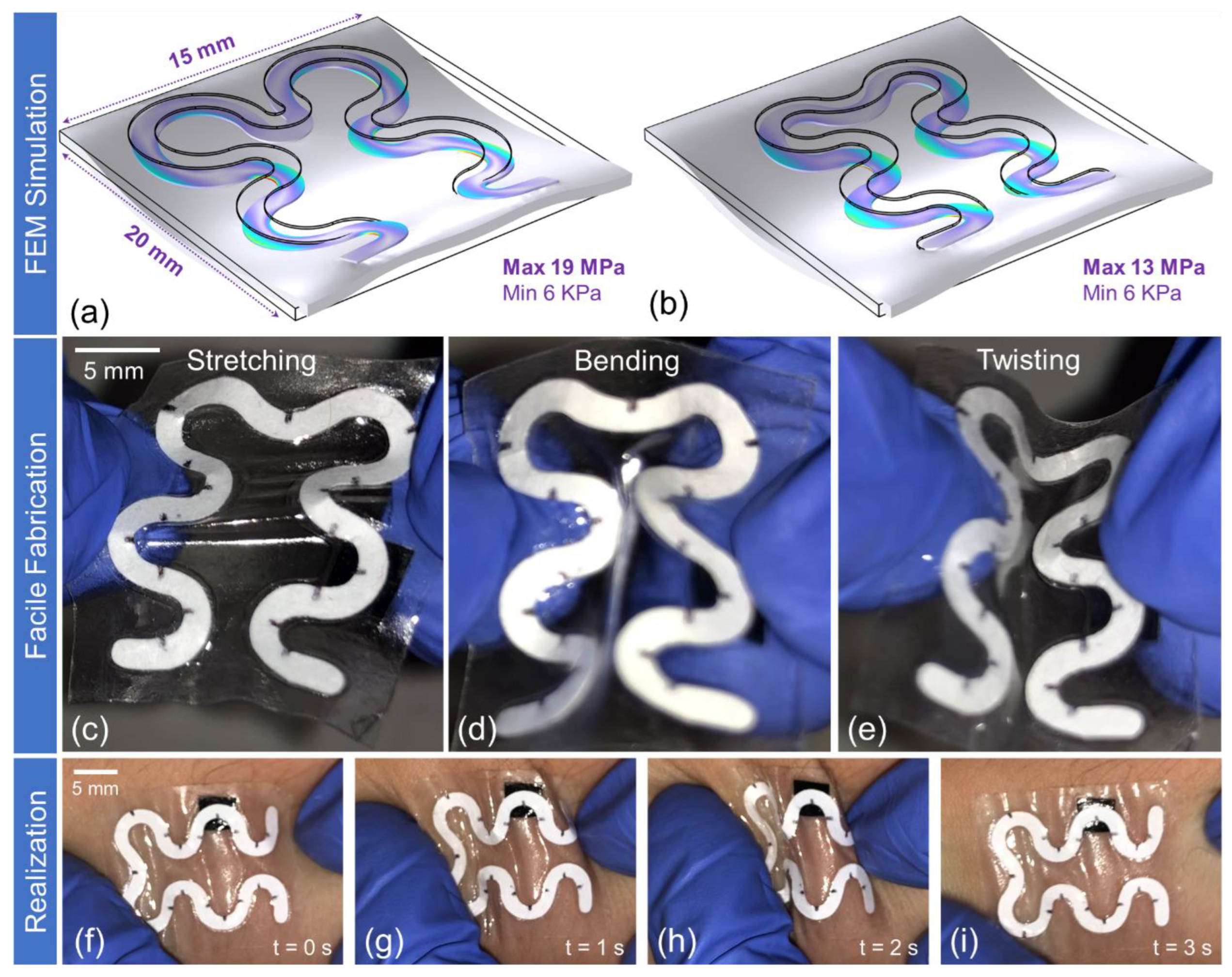 Biosensors 14 00012 g002