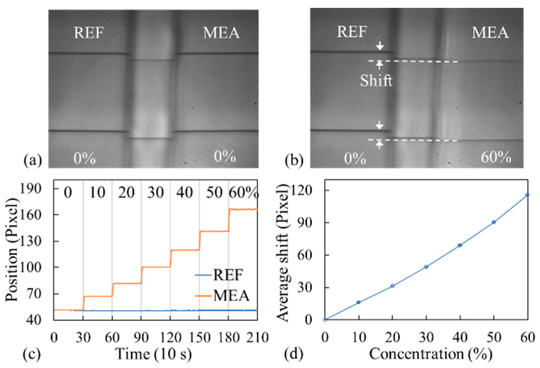 Biosensors 14 00021 g002