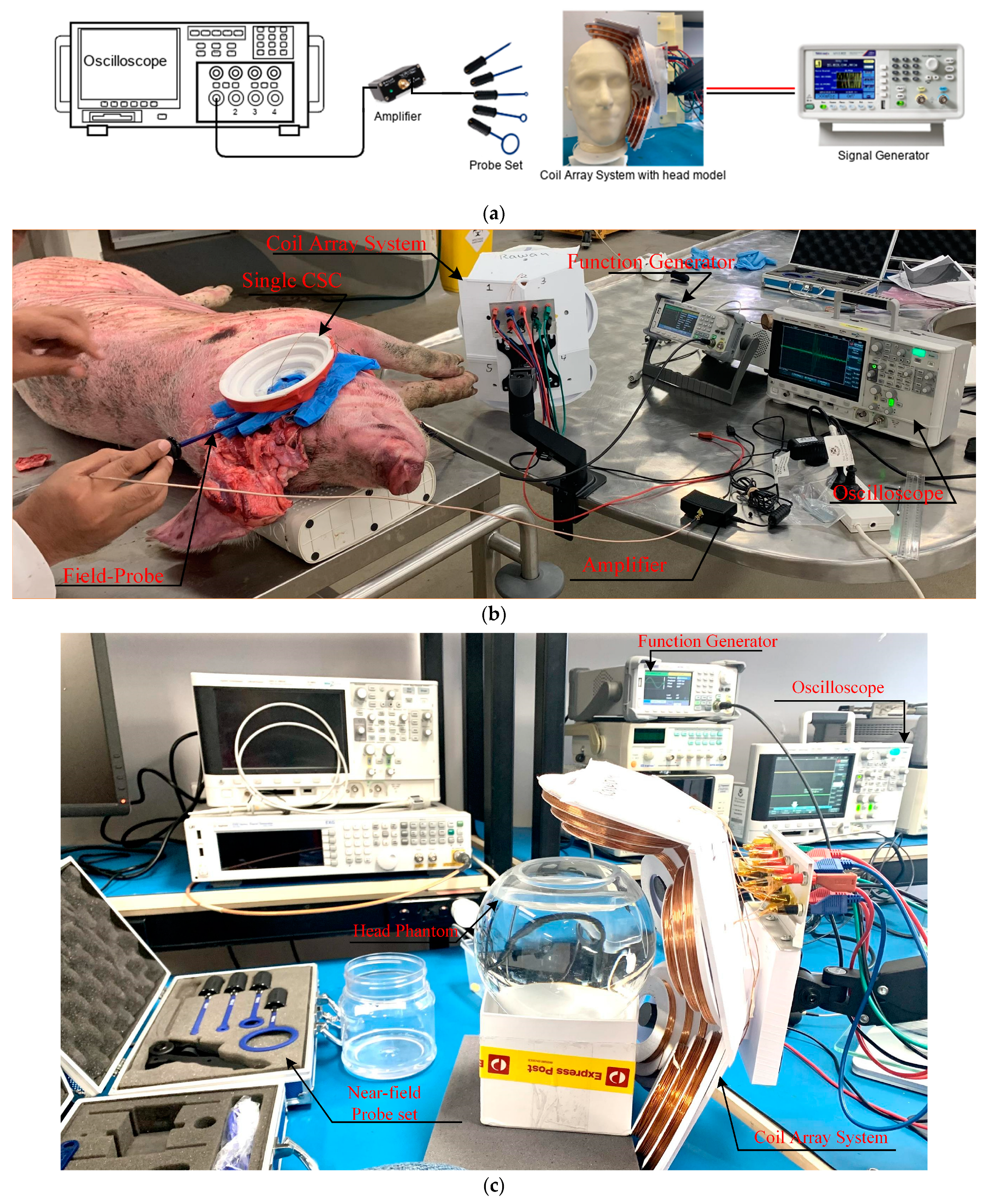 Biosensors 14 00032 g007