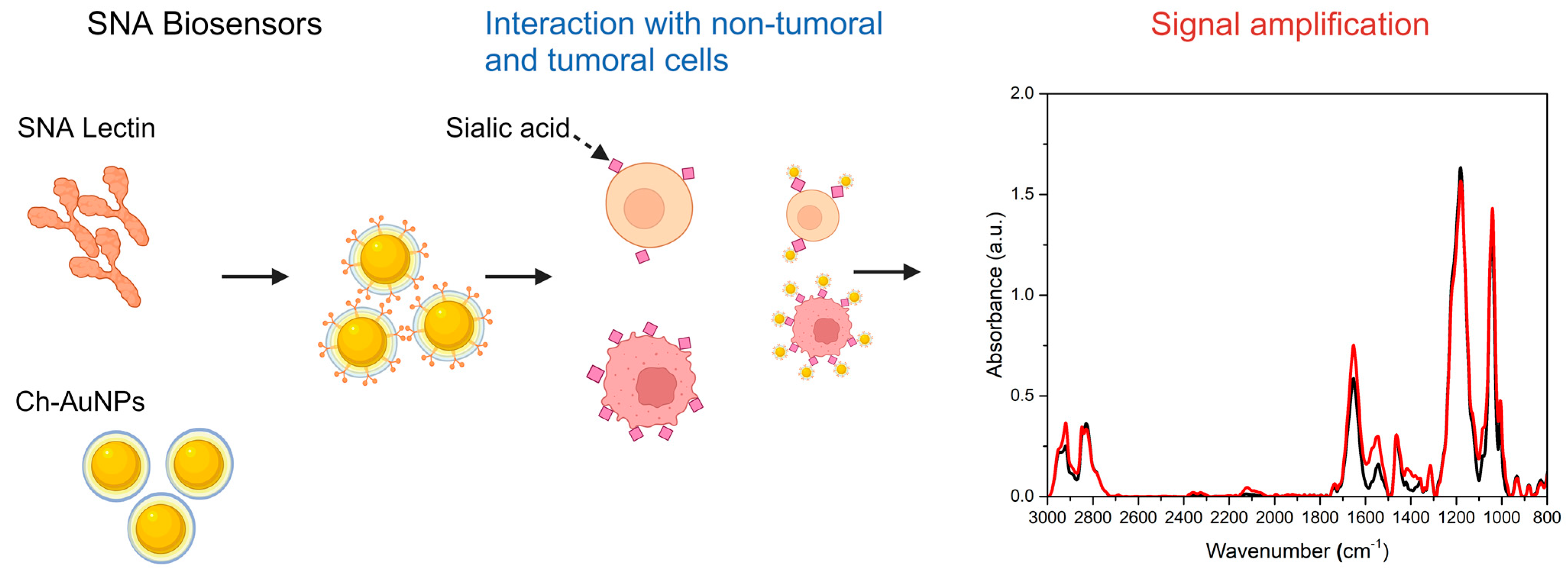 Biosensors 14 00034 sch001