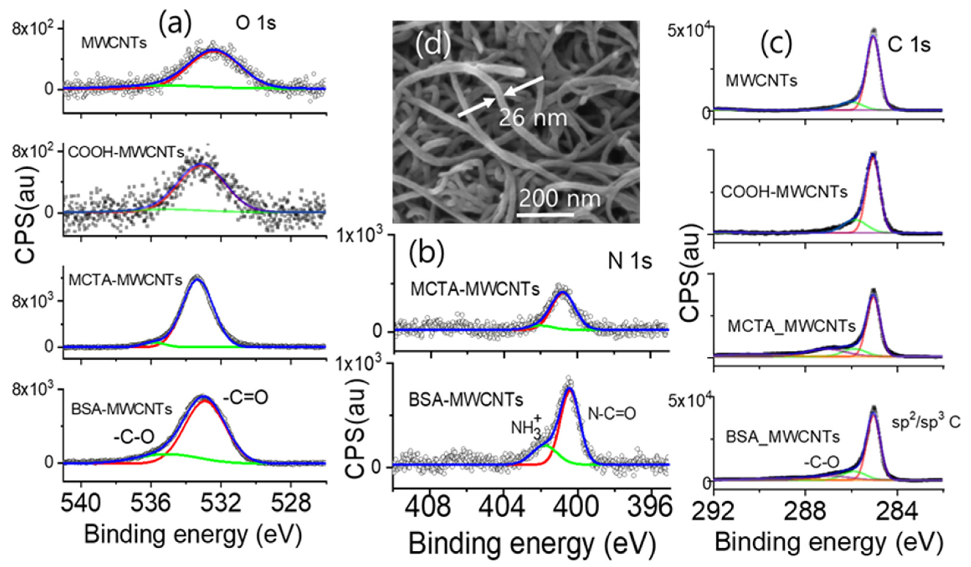 Biosensors 14 00037 g001