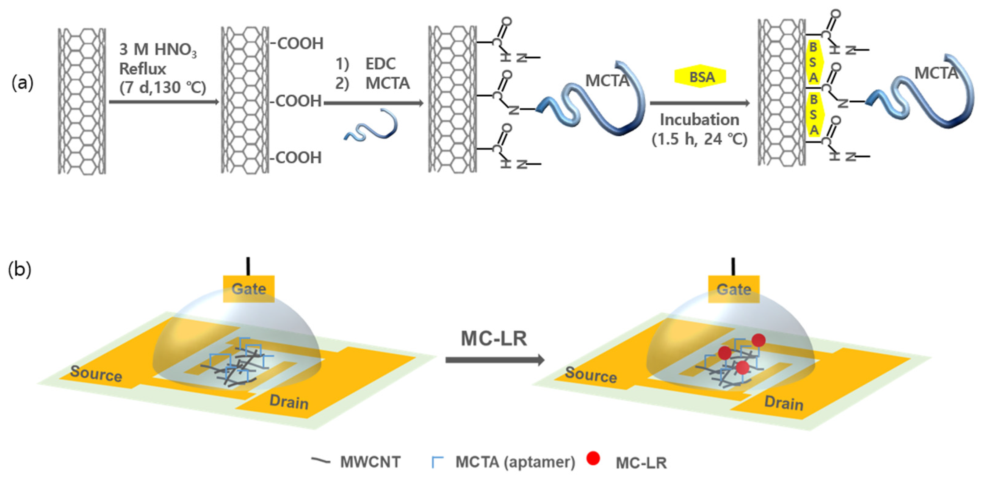 Biosensors 14 00037 sch001