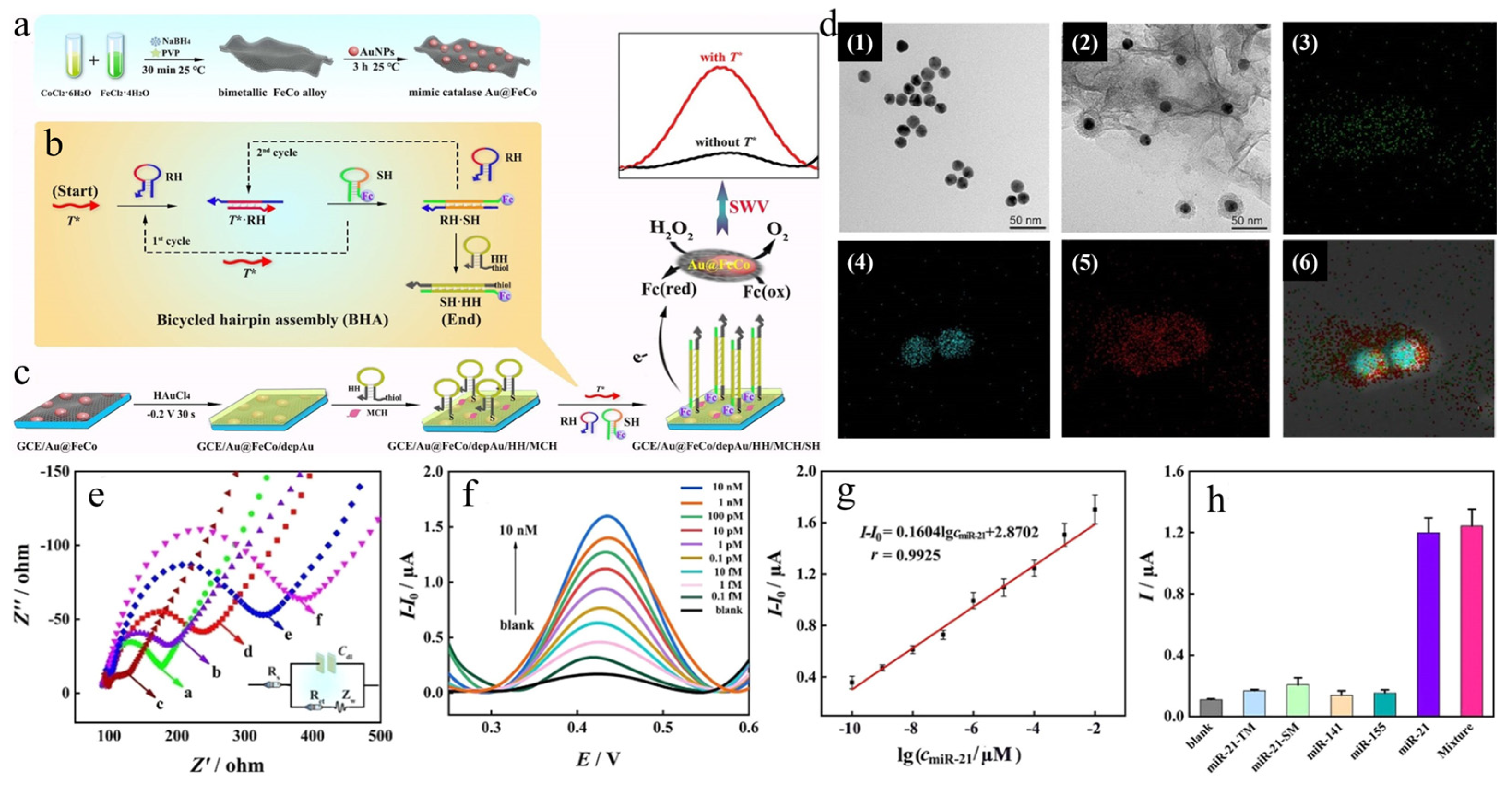 Biosensors 14 00040 g003