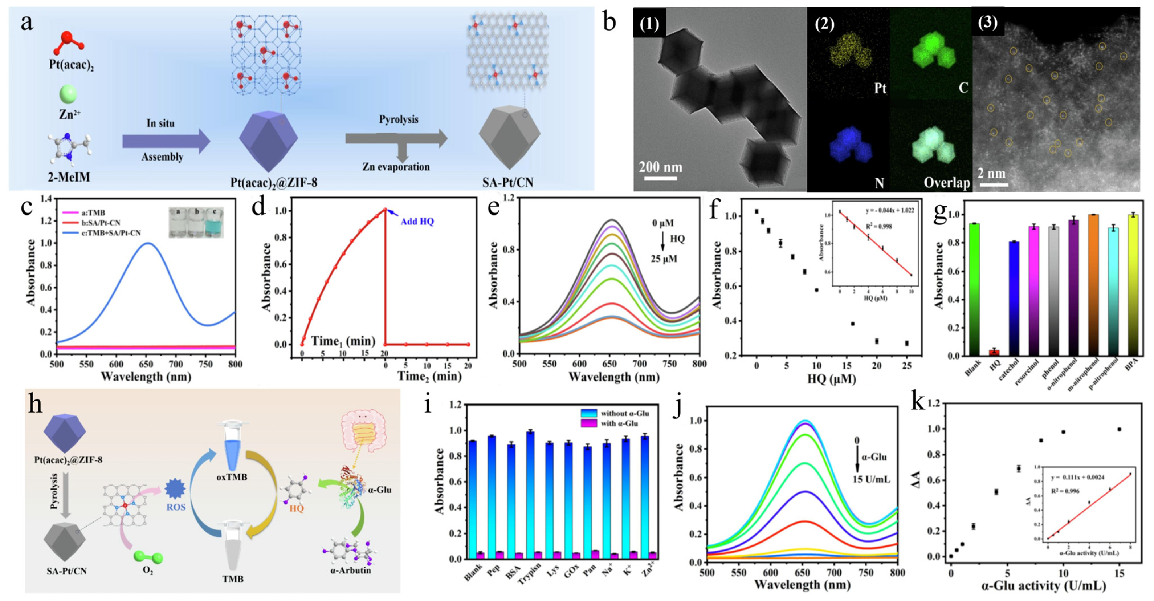 Biosensors 14 00040 g004