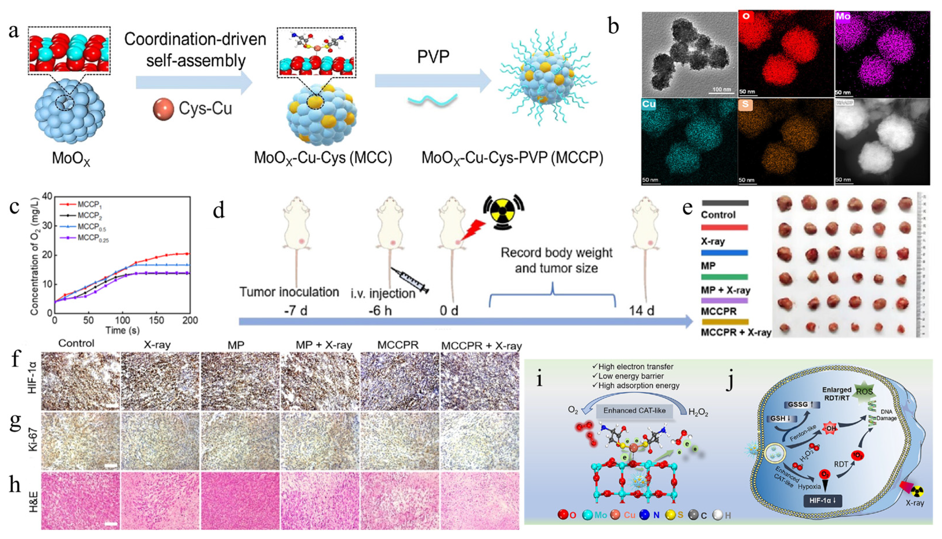 Biosensors 14 00040 g005