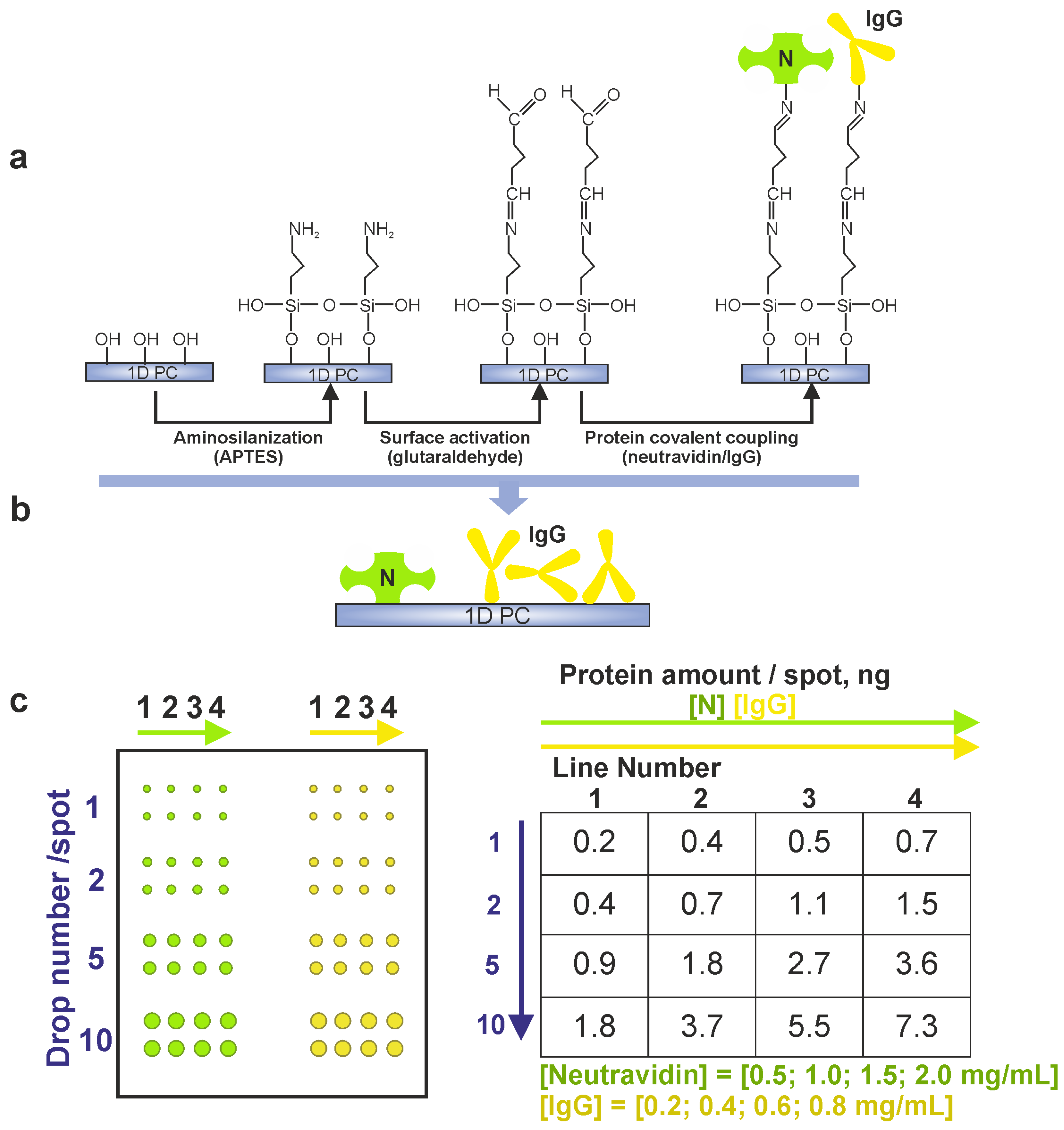 Biosensors 14 00043 g002