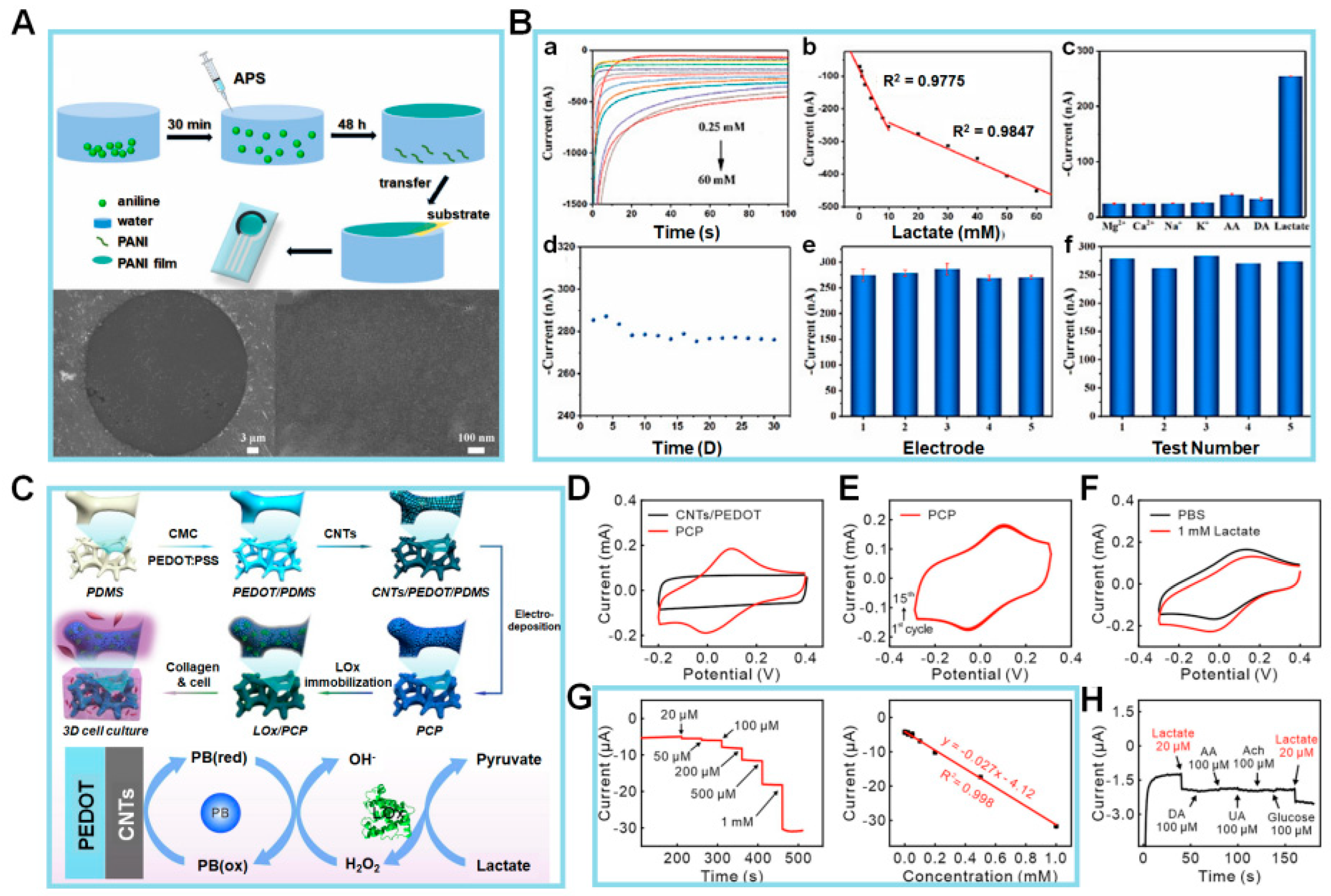 Biosensors 14 00046 g003