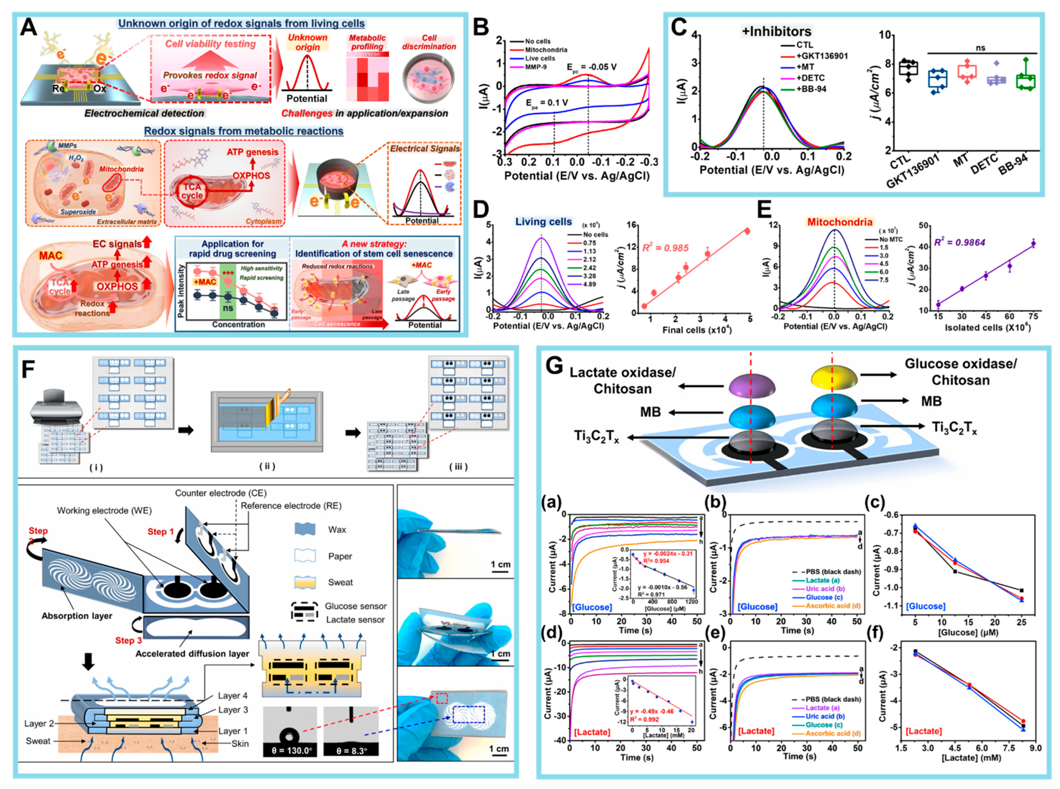 Biosensors 14 00046 g007