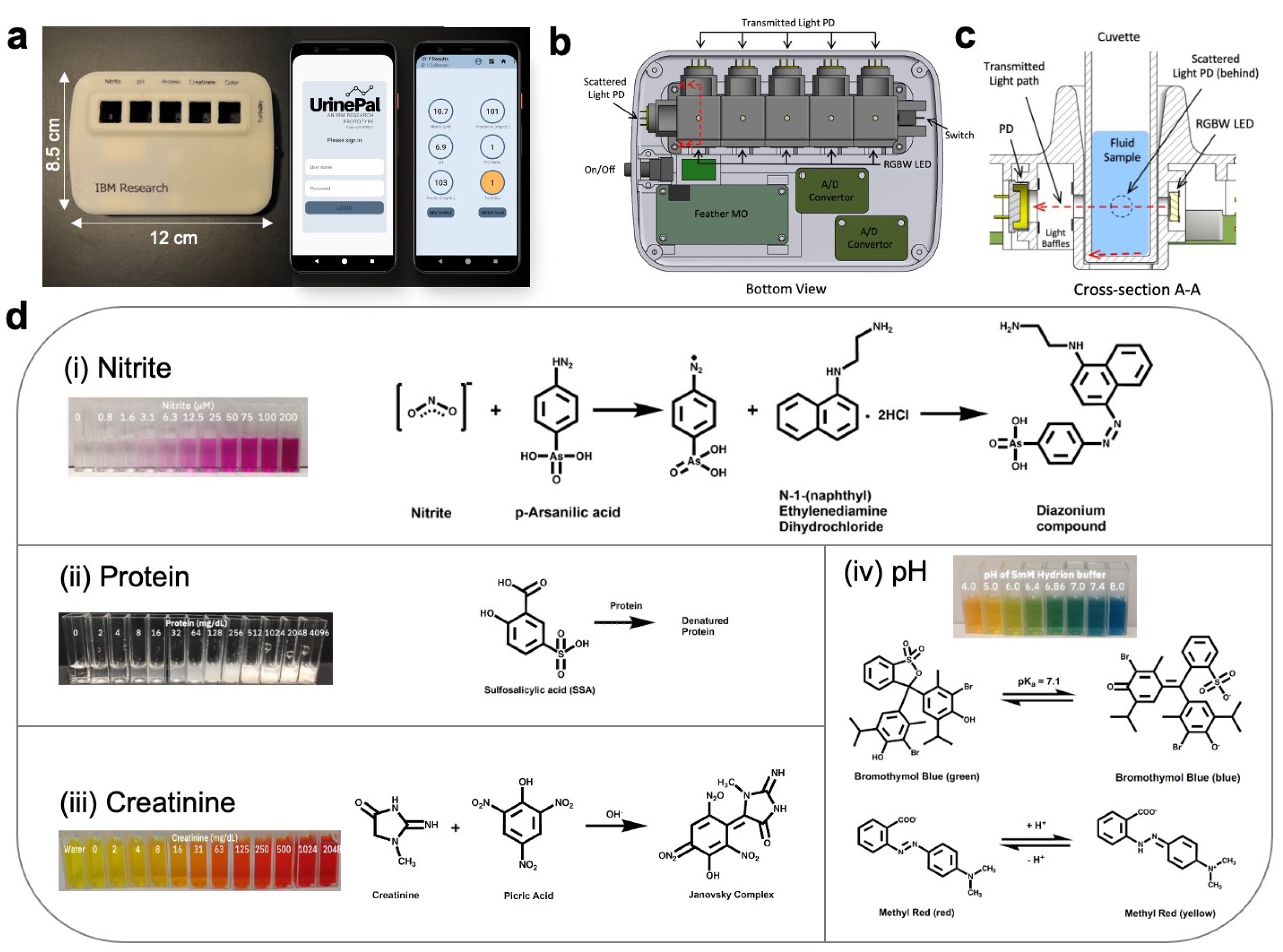 Biosensors 14 00070 g002