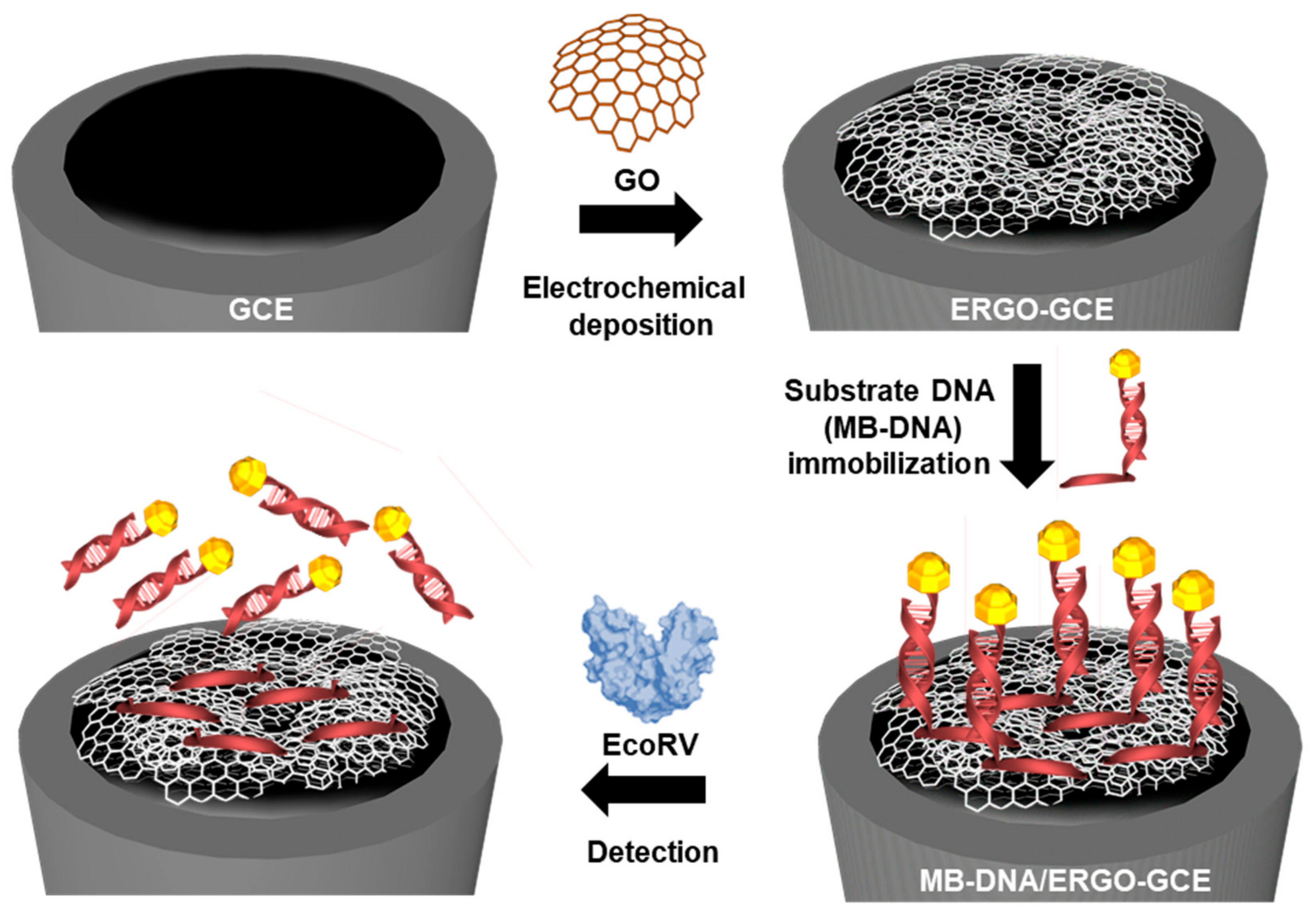 Biosensors 14 00073 sch001