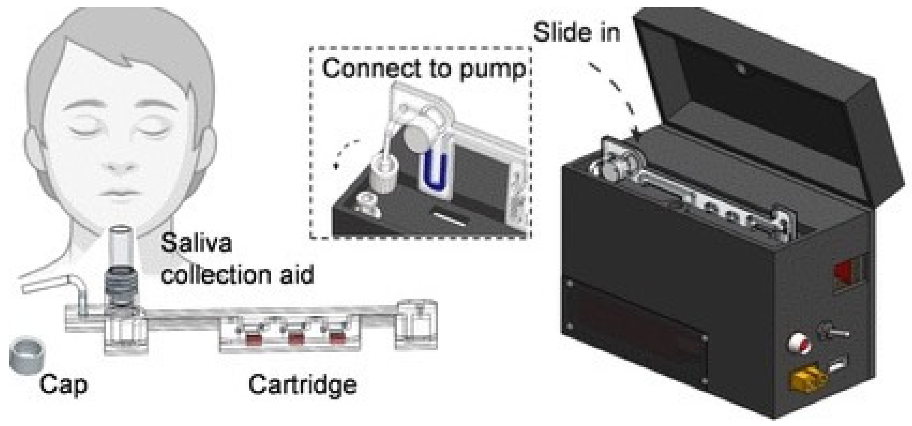 Biosensors 14 00097 g001