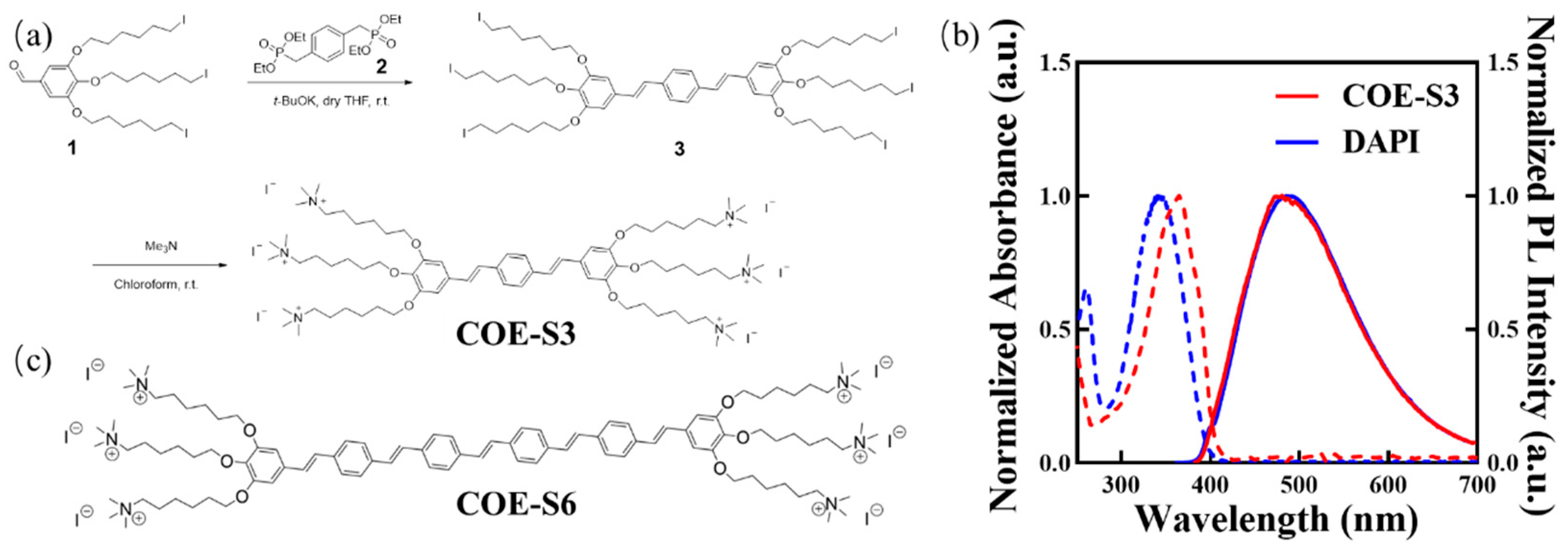 Biosensors | Free Full-Text | Conjugated Oligoelectrolyte with DNA 