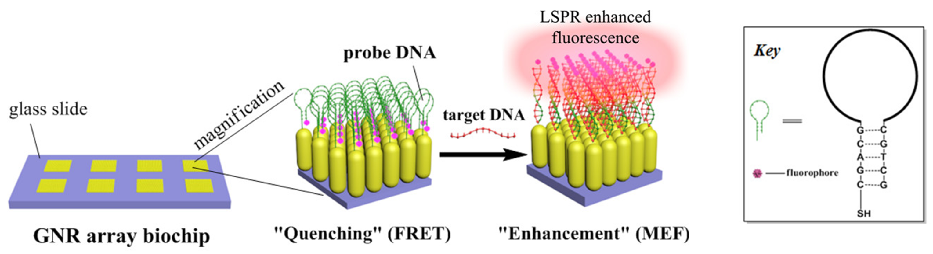 Biosensors 14 00130 g002