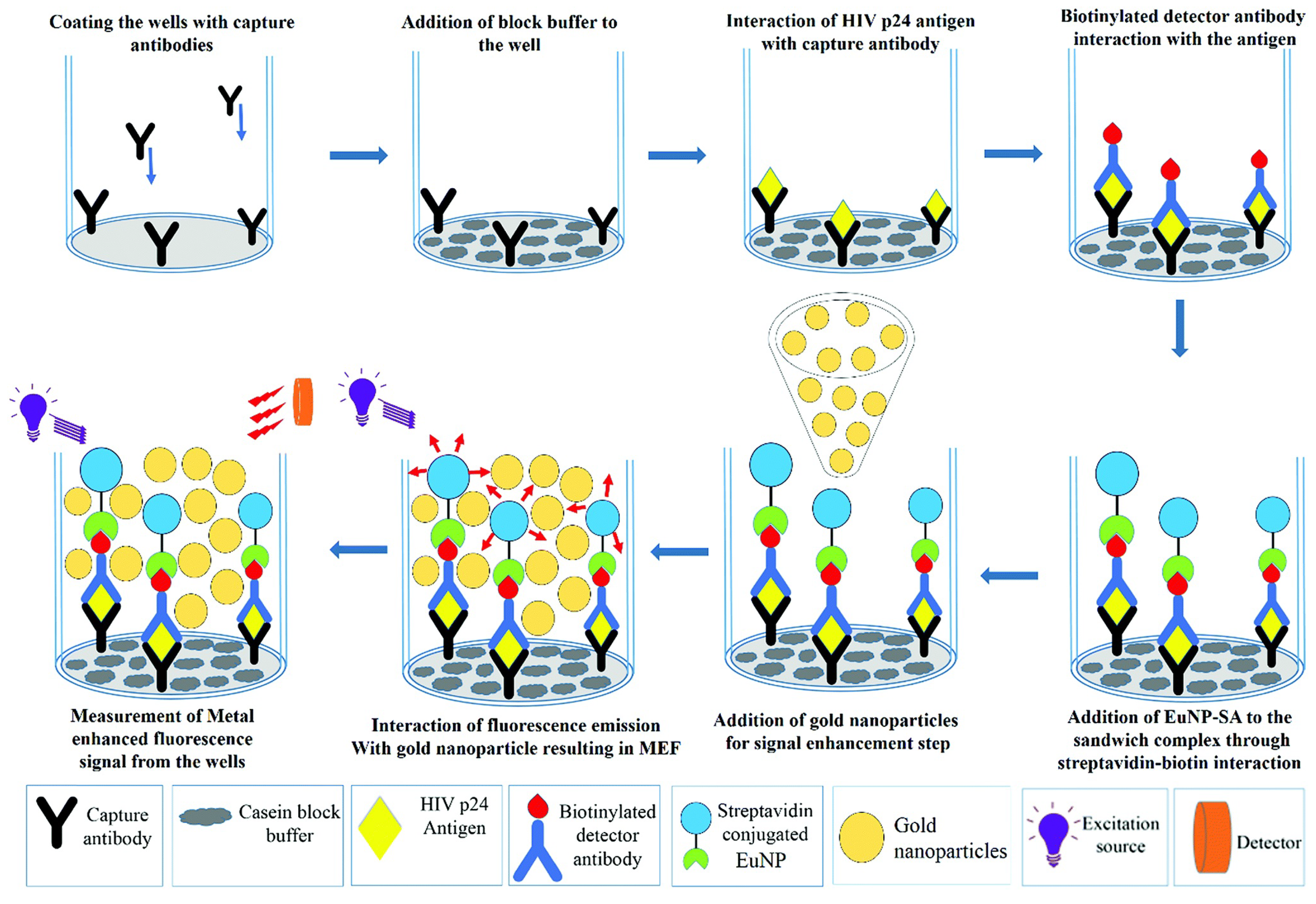 Biosensors 14 00130 g007
