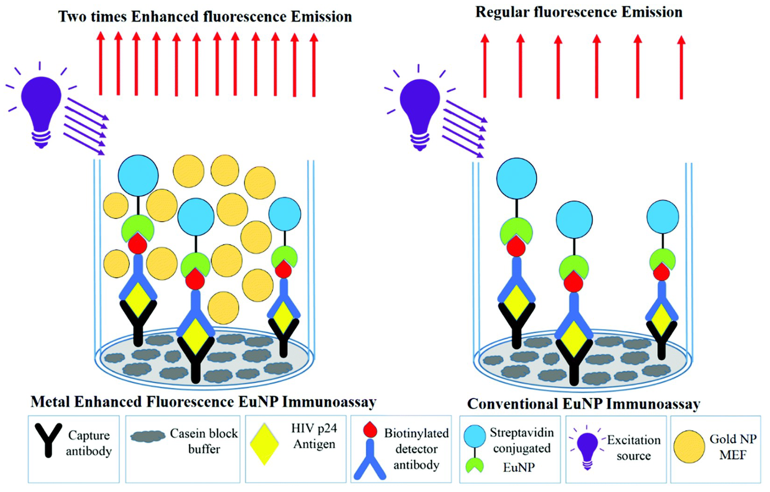 Biosensors 14 00130 g008