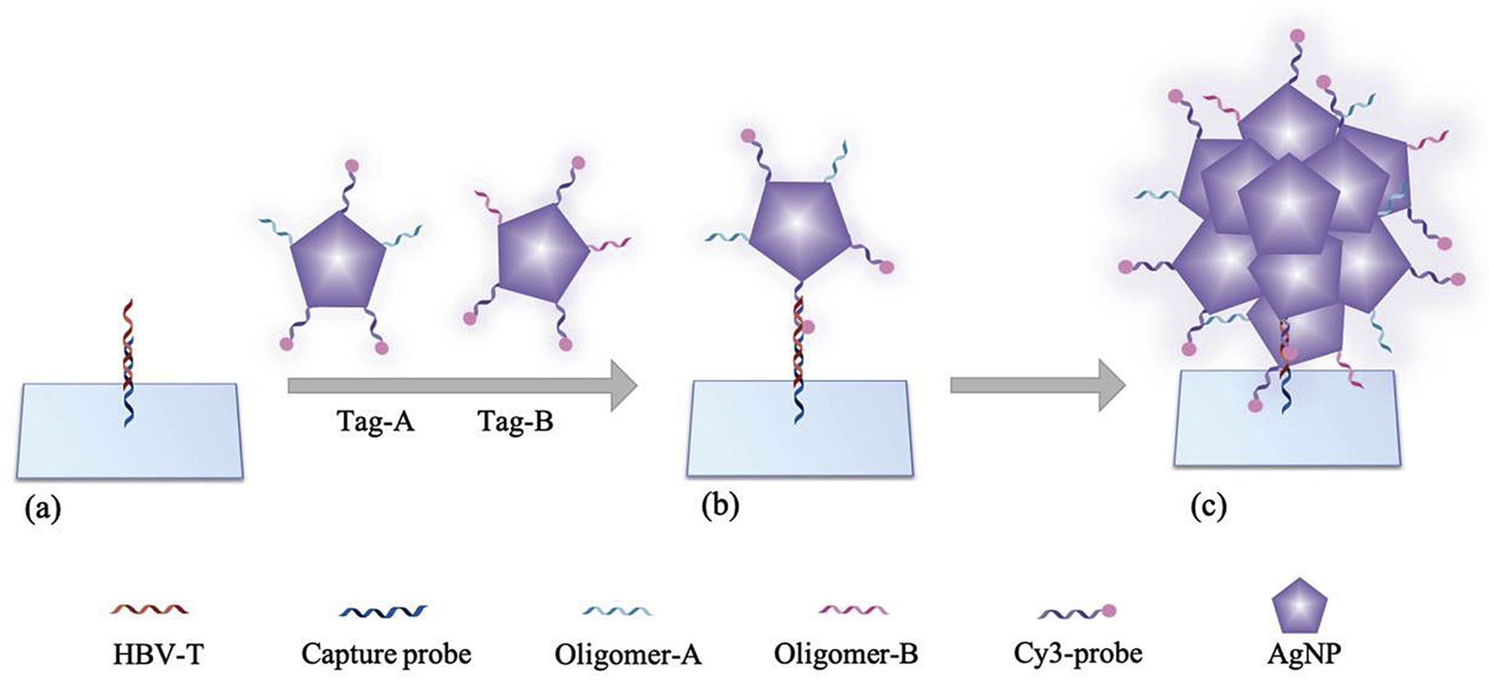 Biosensors 14 00130 g009