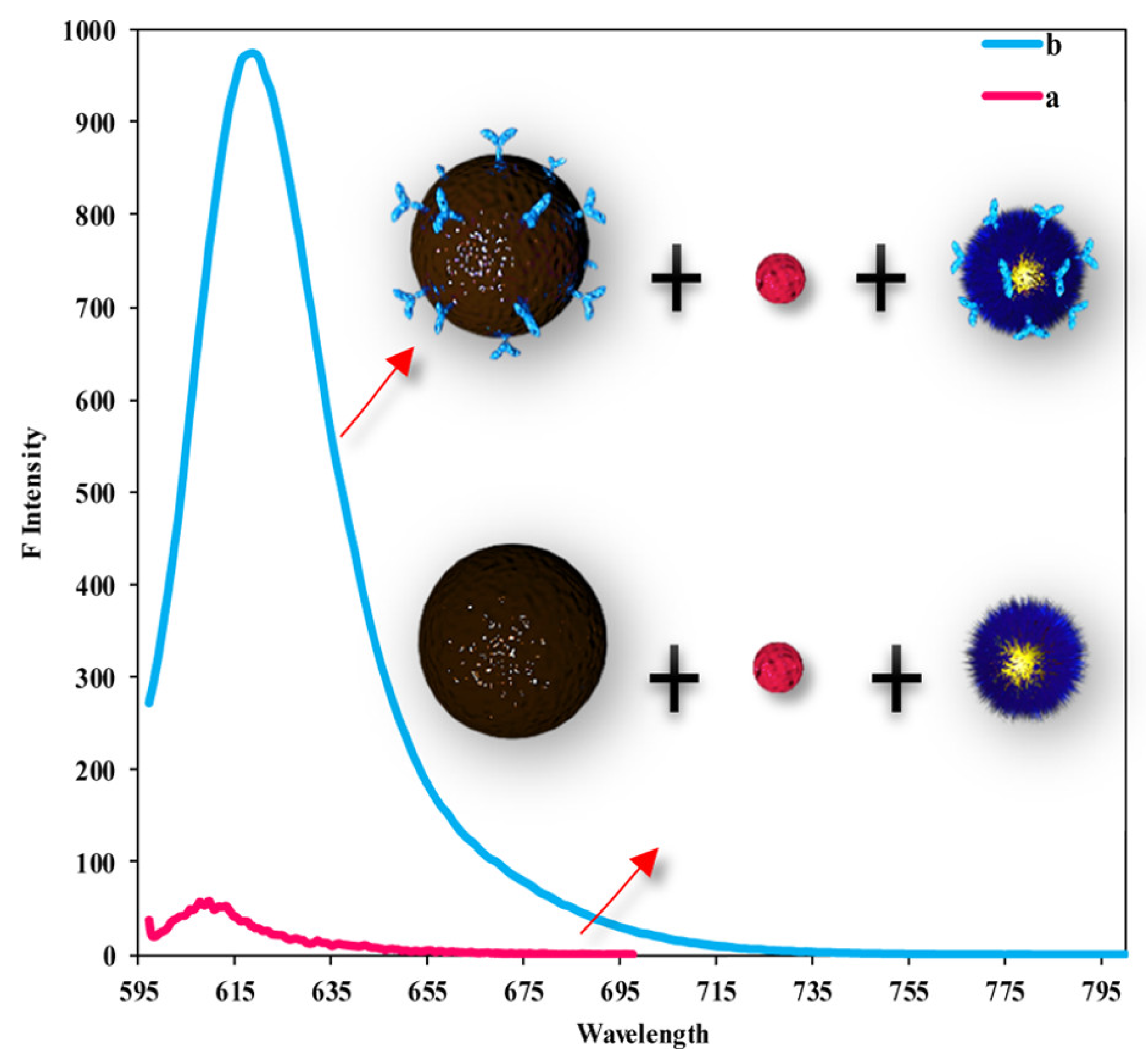 Biosensors 14 00130 g011