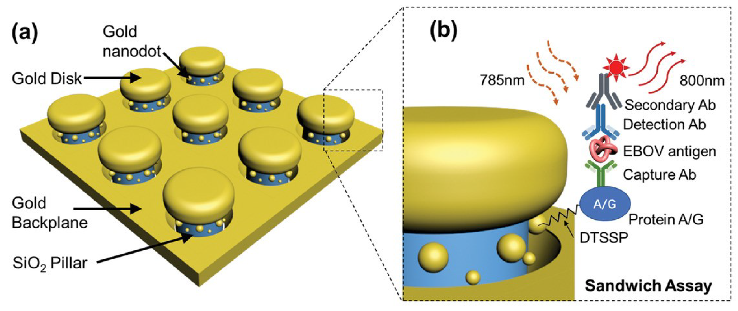 Biosensors 14 00130 g012