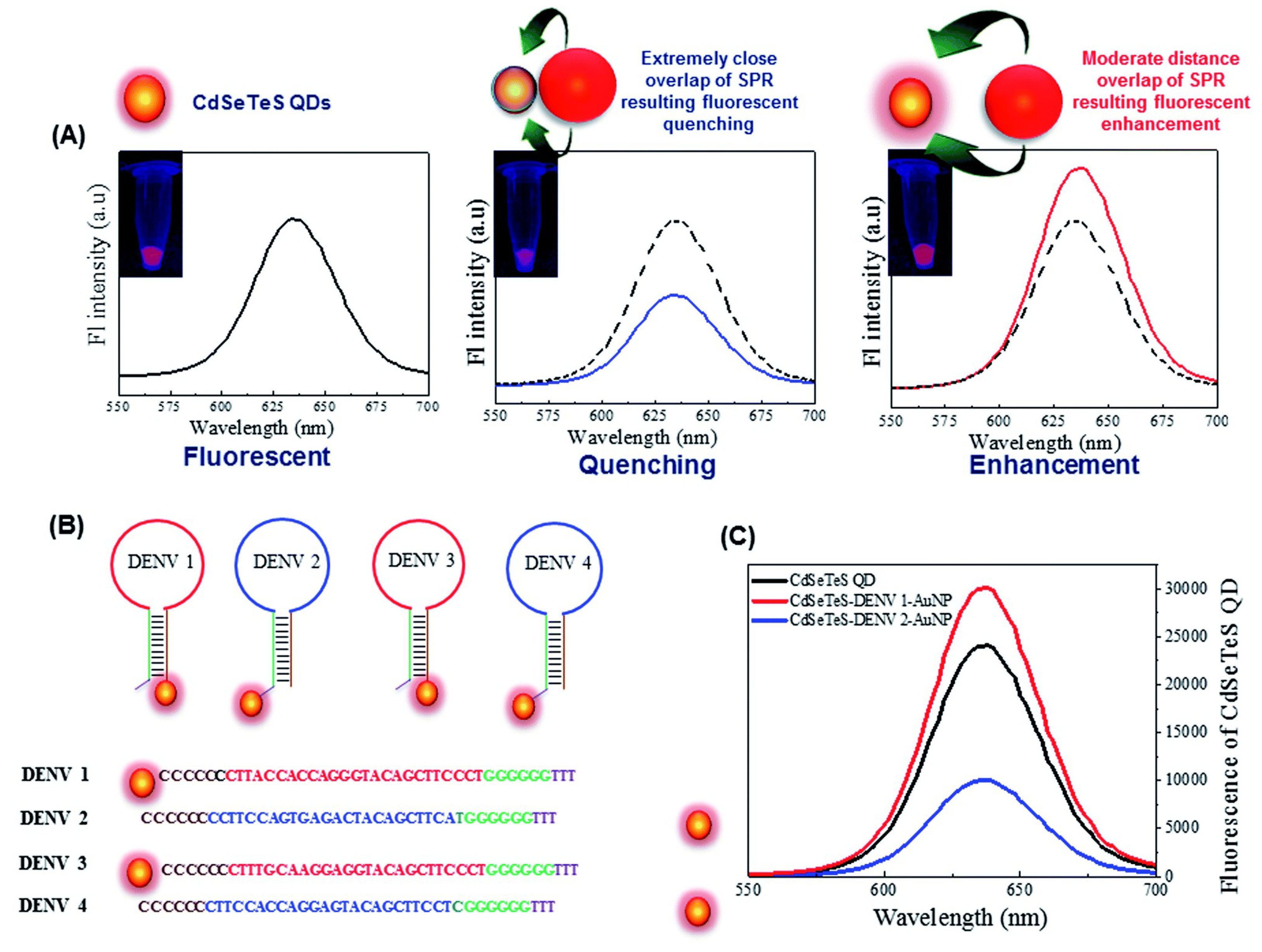 Biosensors 14 00130 g013