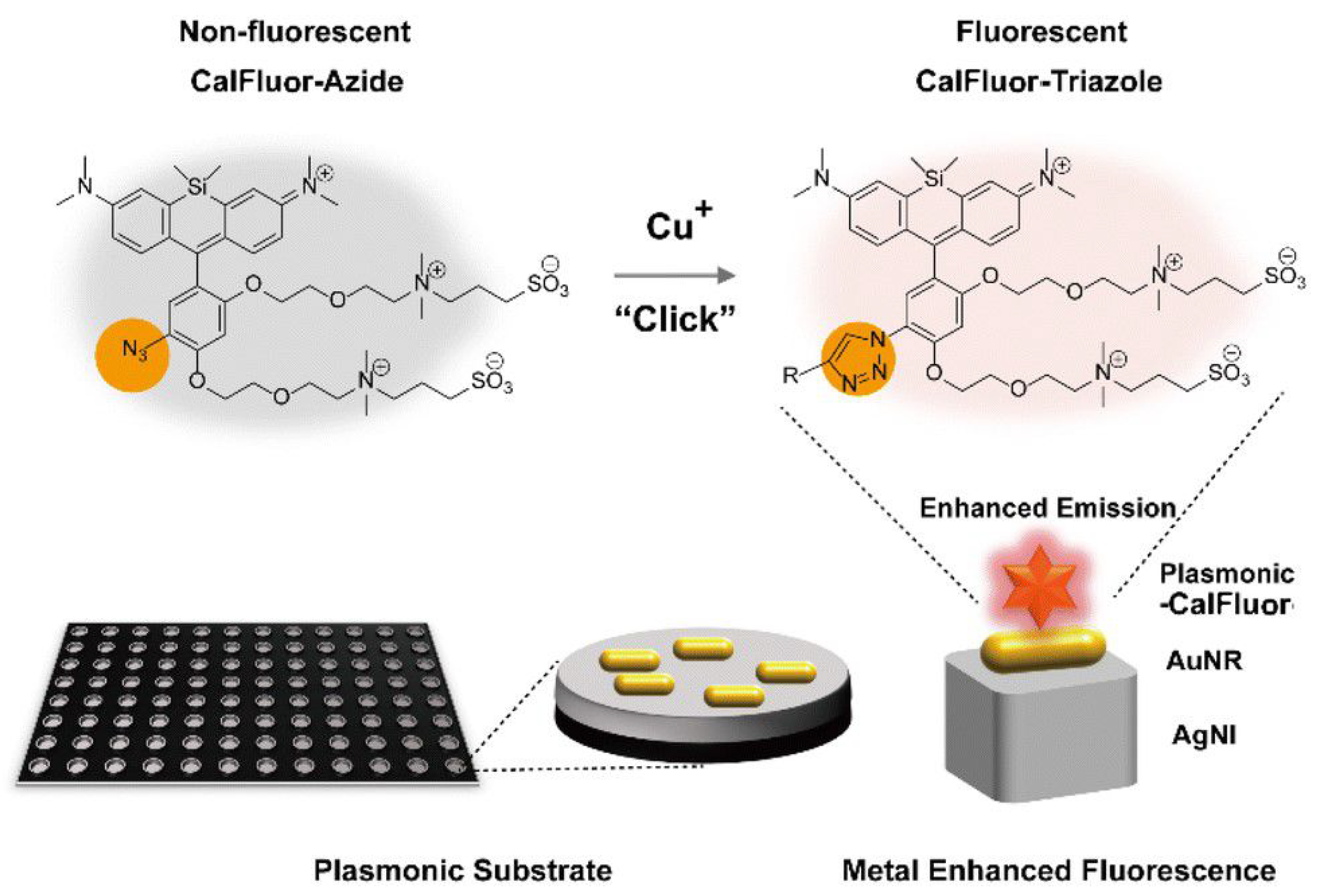 Biosensors 14 00130 g015
