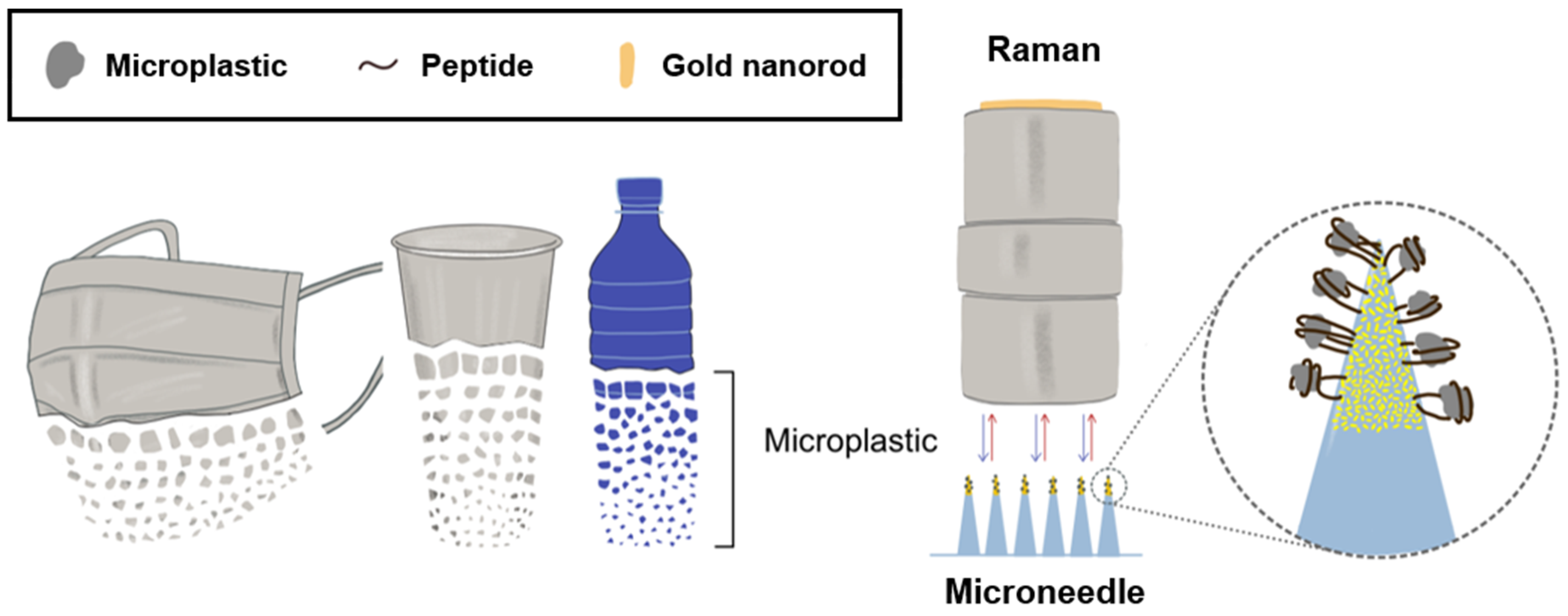 Biosensors 14 00140 g001