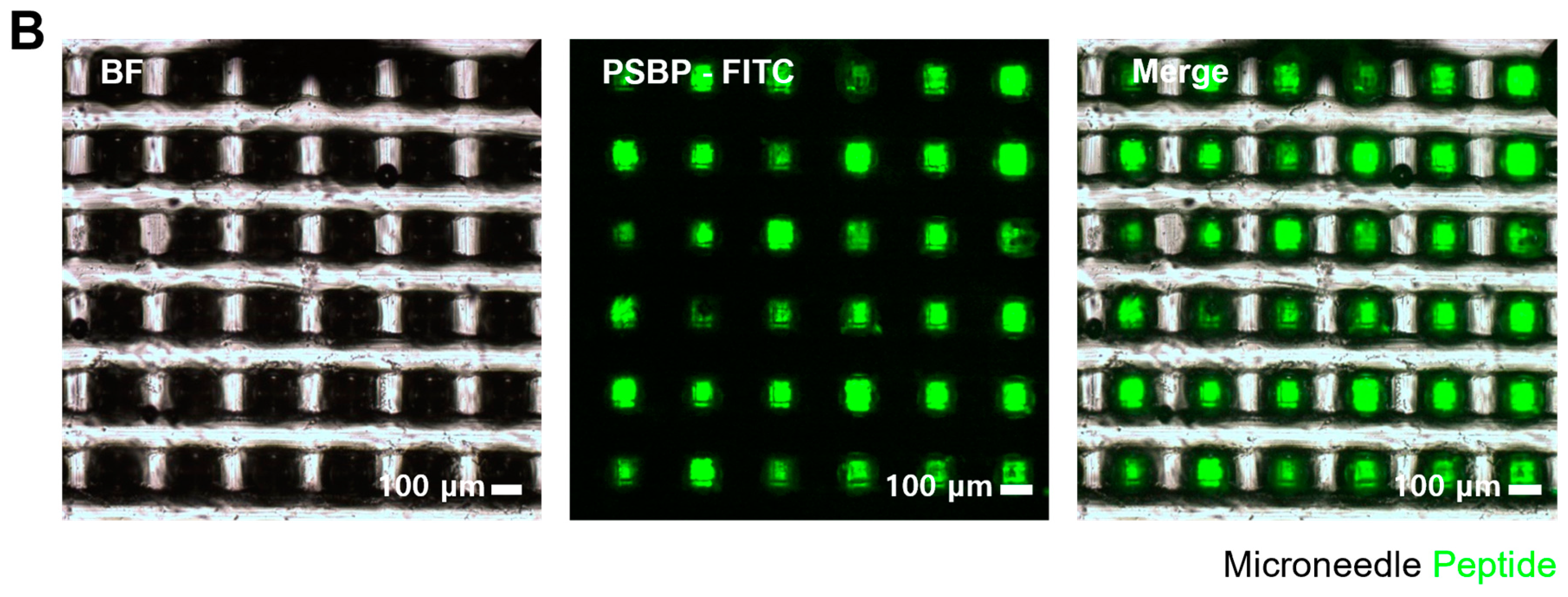 Biosensors 14 00140 g003b