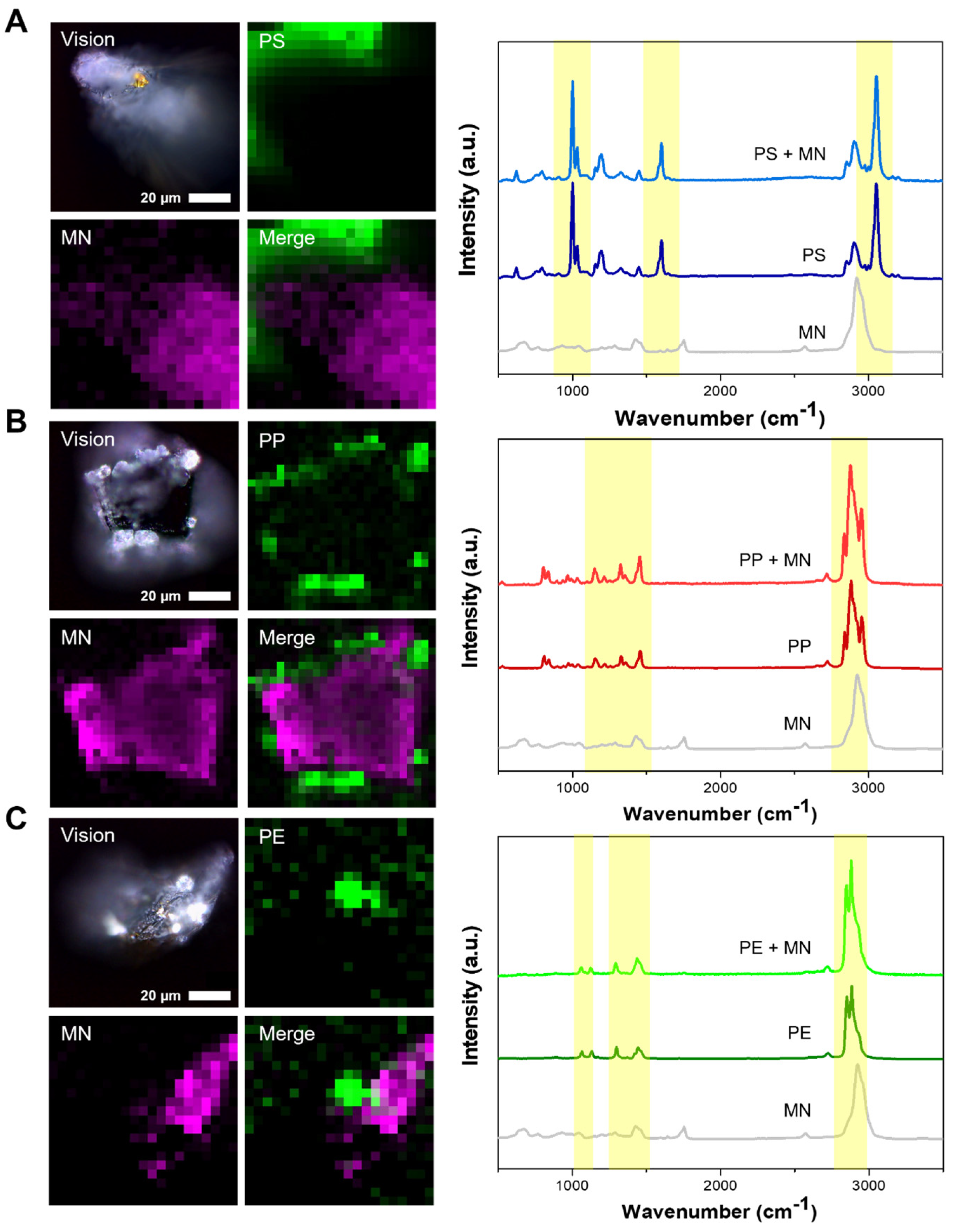Biosensors 14 00140 g005