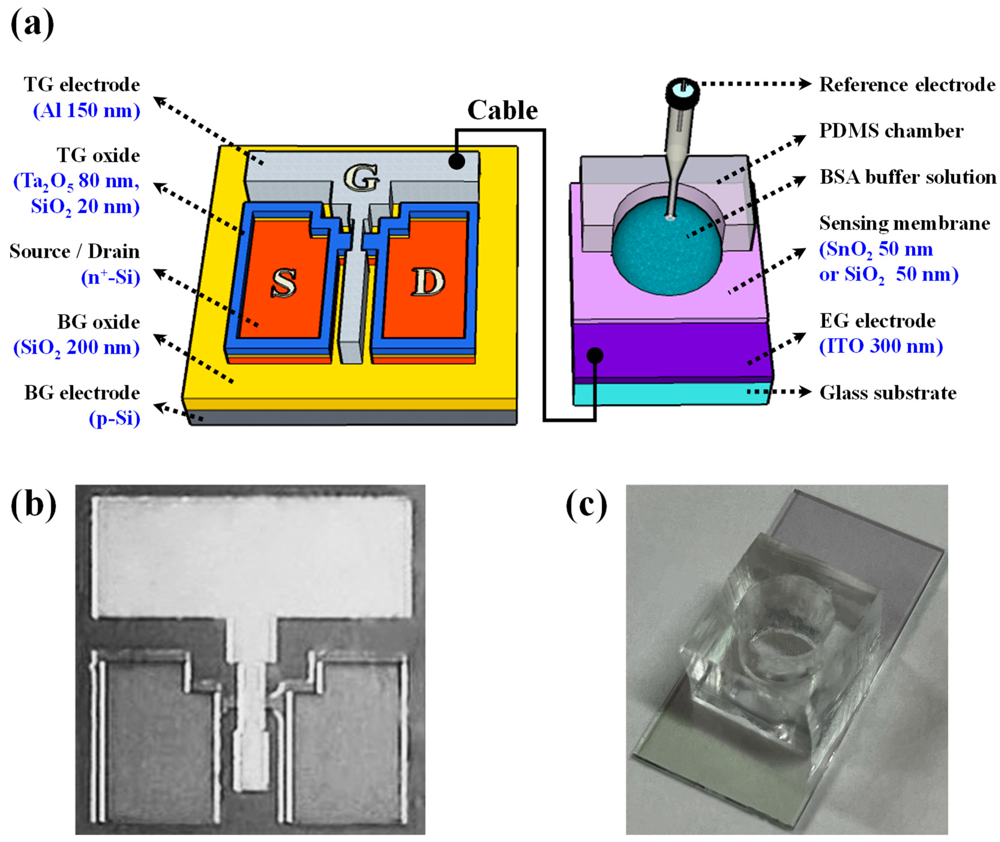 Biosensors 14 00141 g001