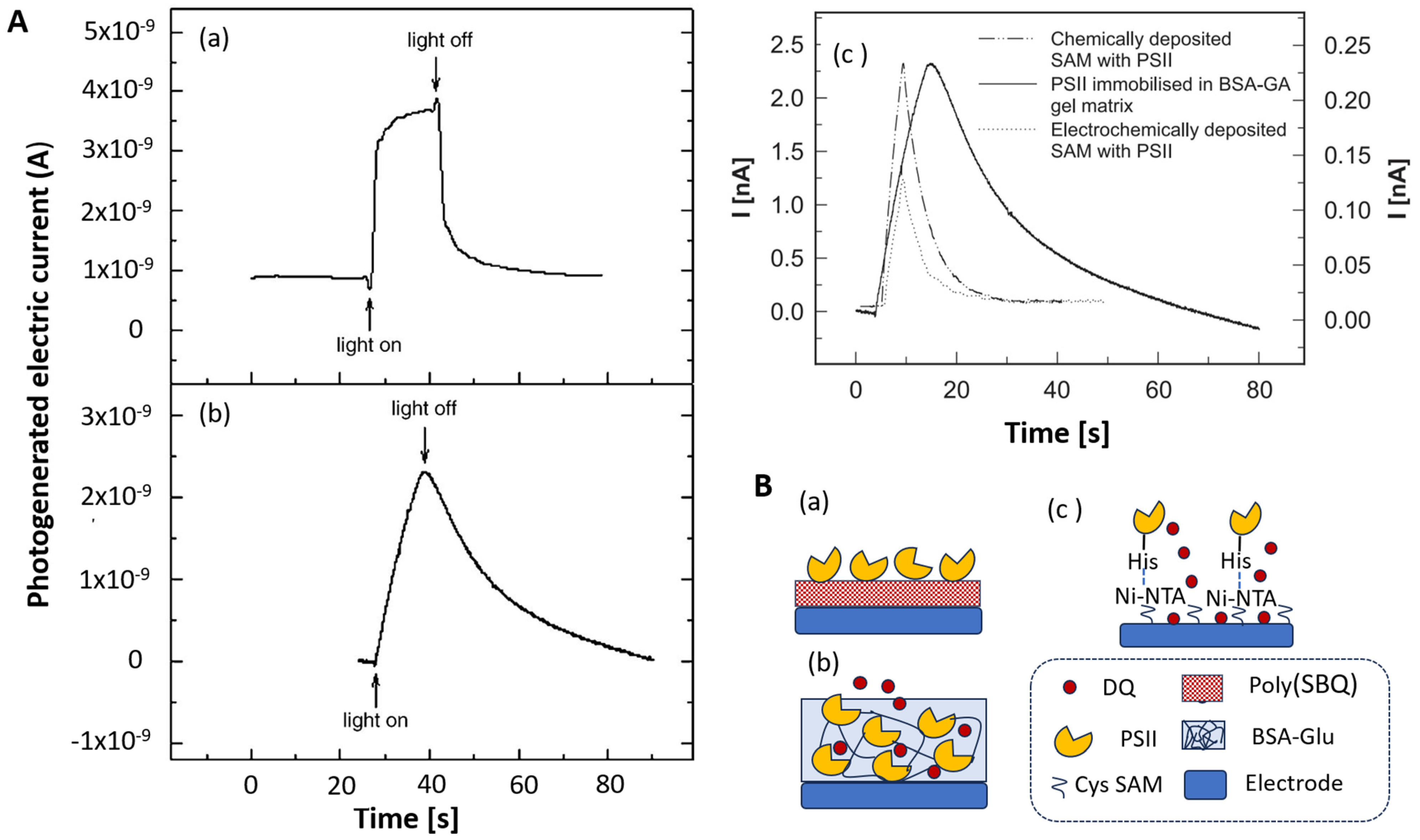 Biosensors 14 00143 g002