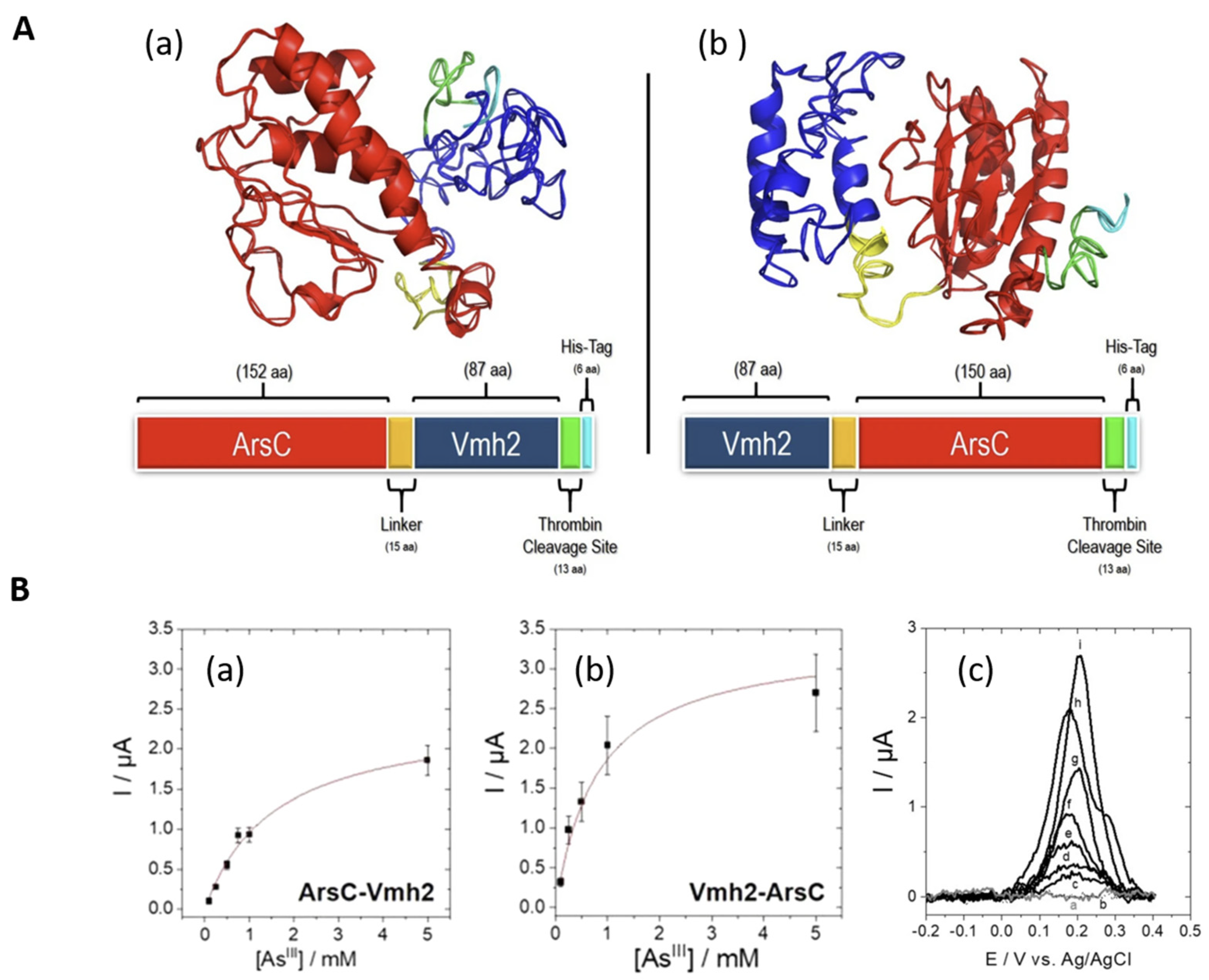 Biosensors 14 00143 g006