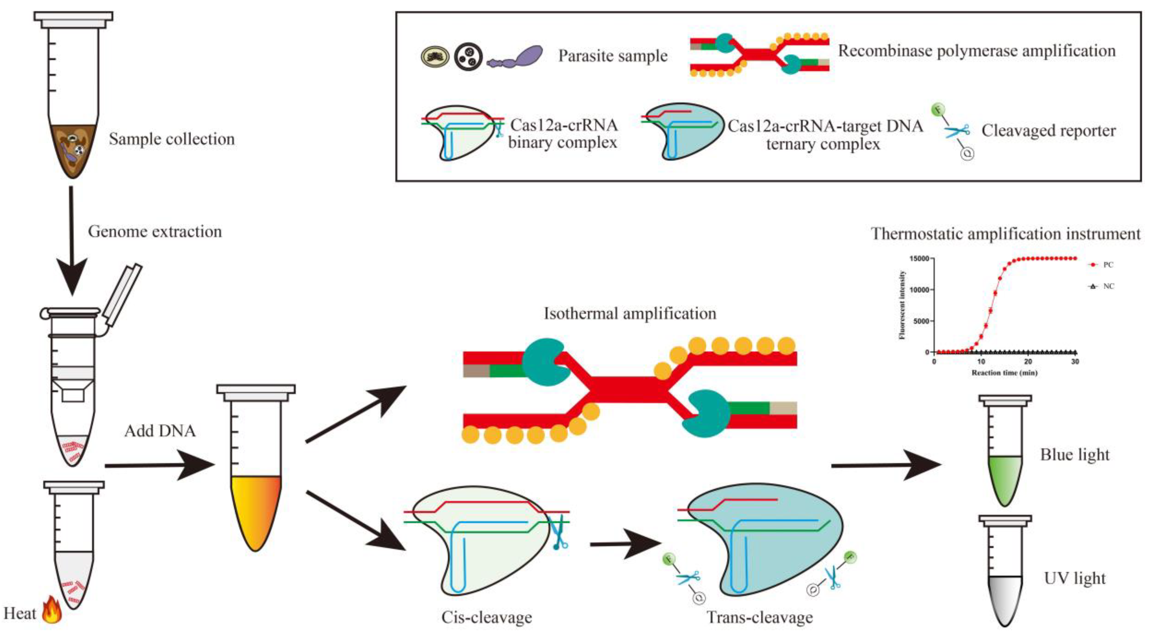 Biosensors 14 00145 g001