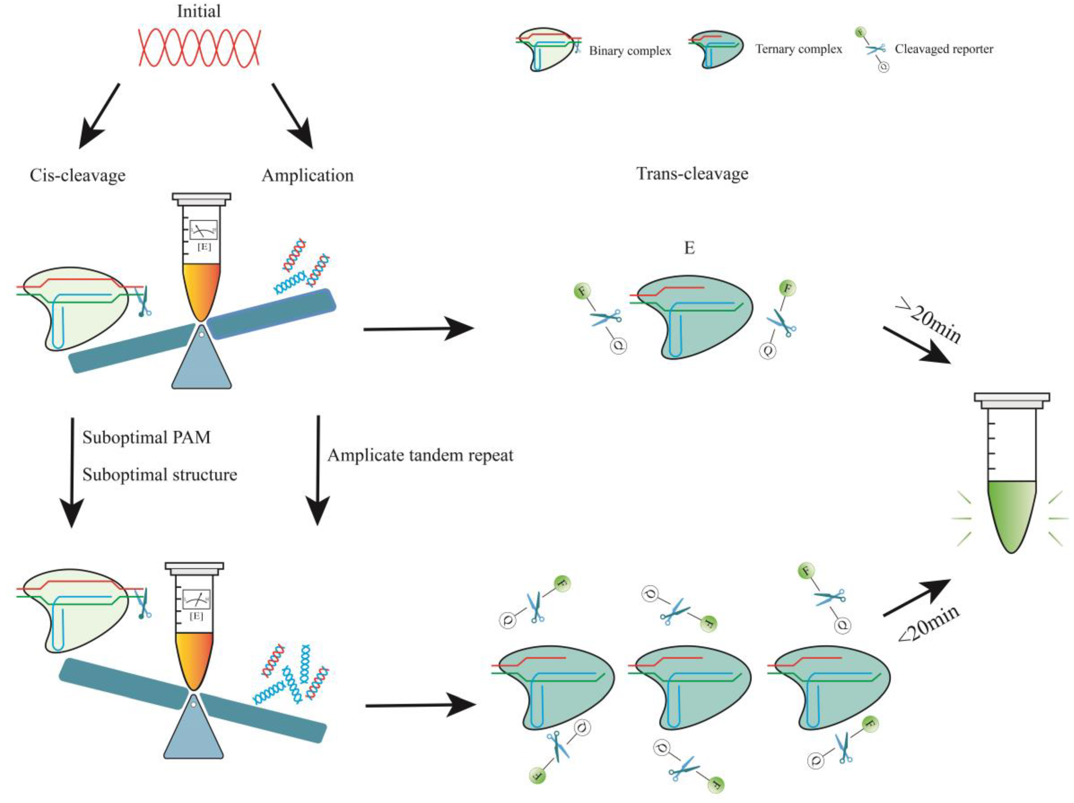 Biosensors 14 00145 g002