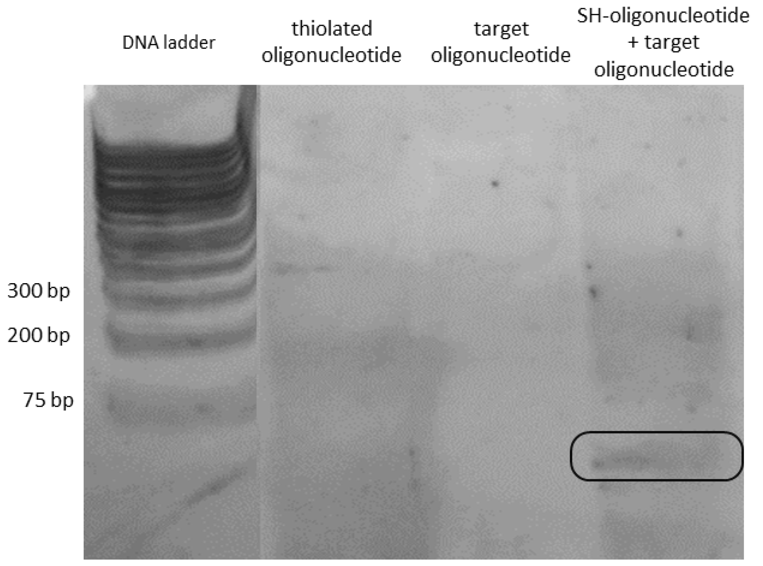 Biosensors 14 00159 g006