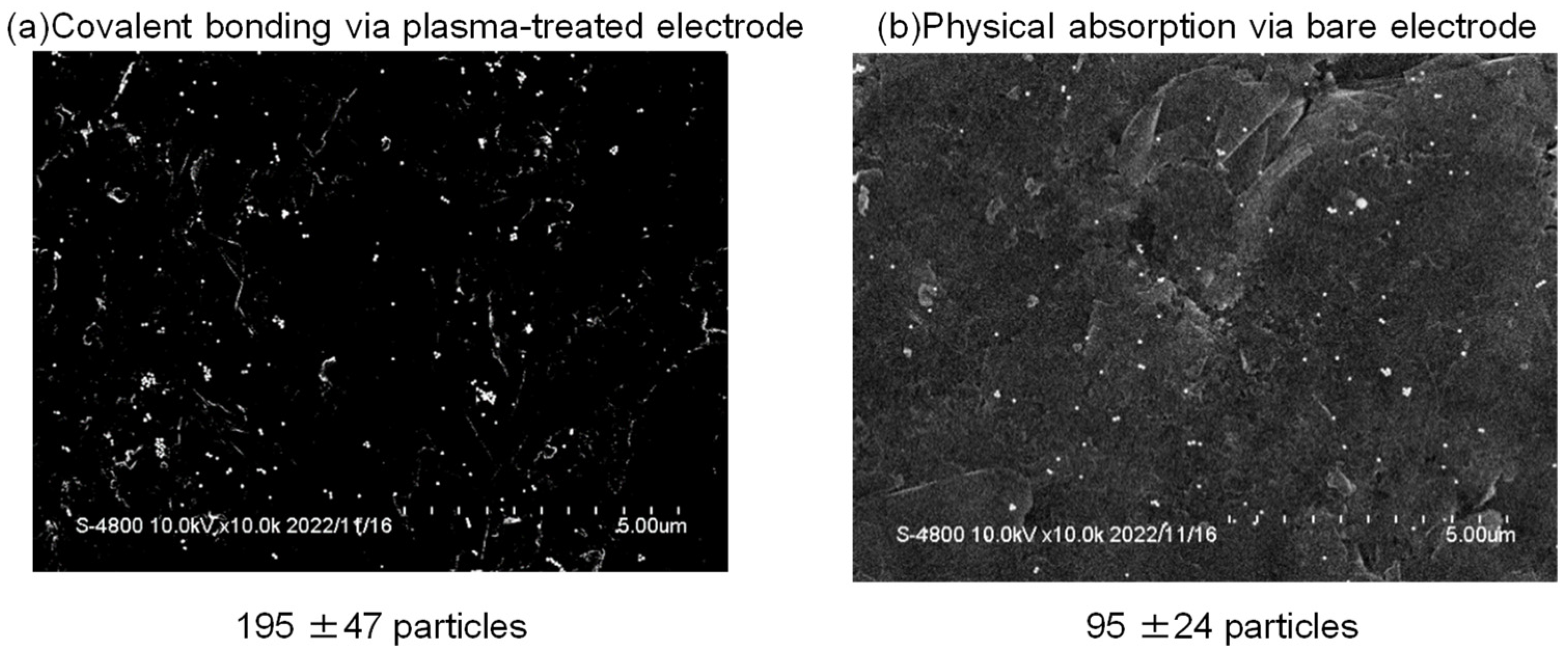 Biosensors 14 00165 g007