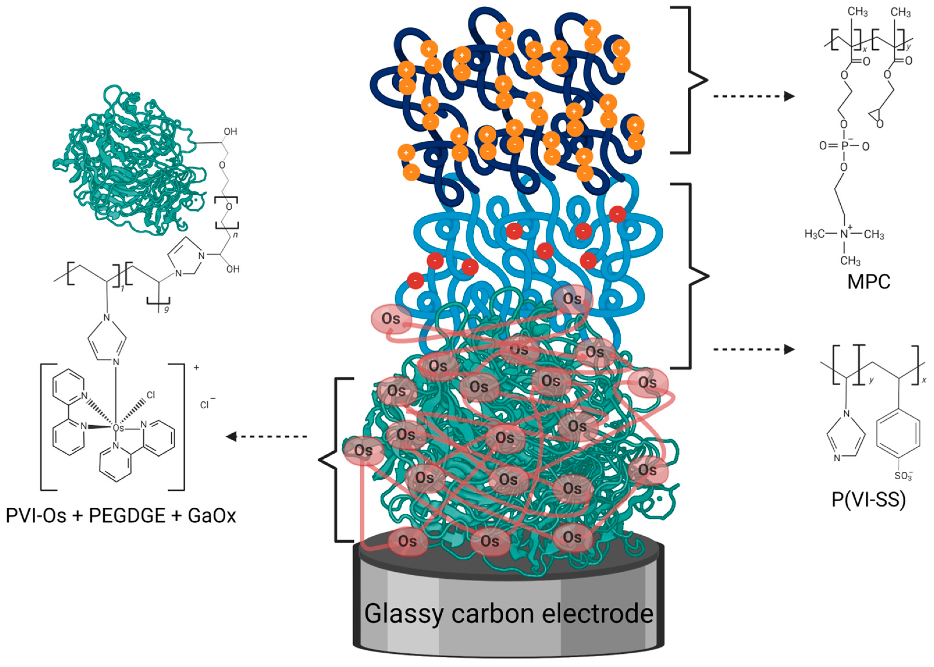 Biosensors 14 00167 g001 Biosensors 14 00167 g001