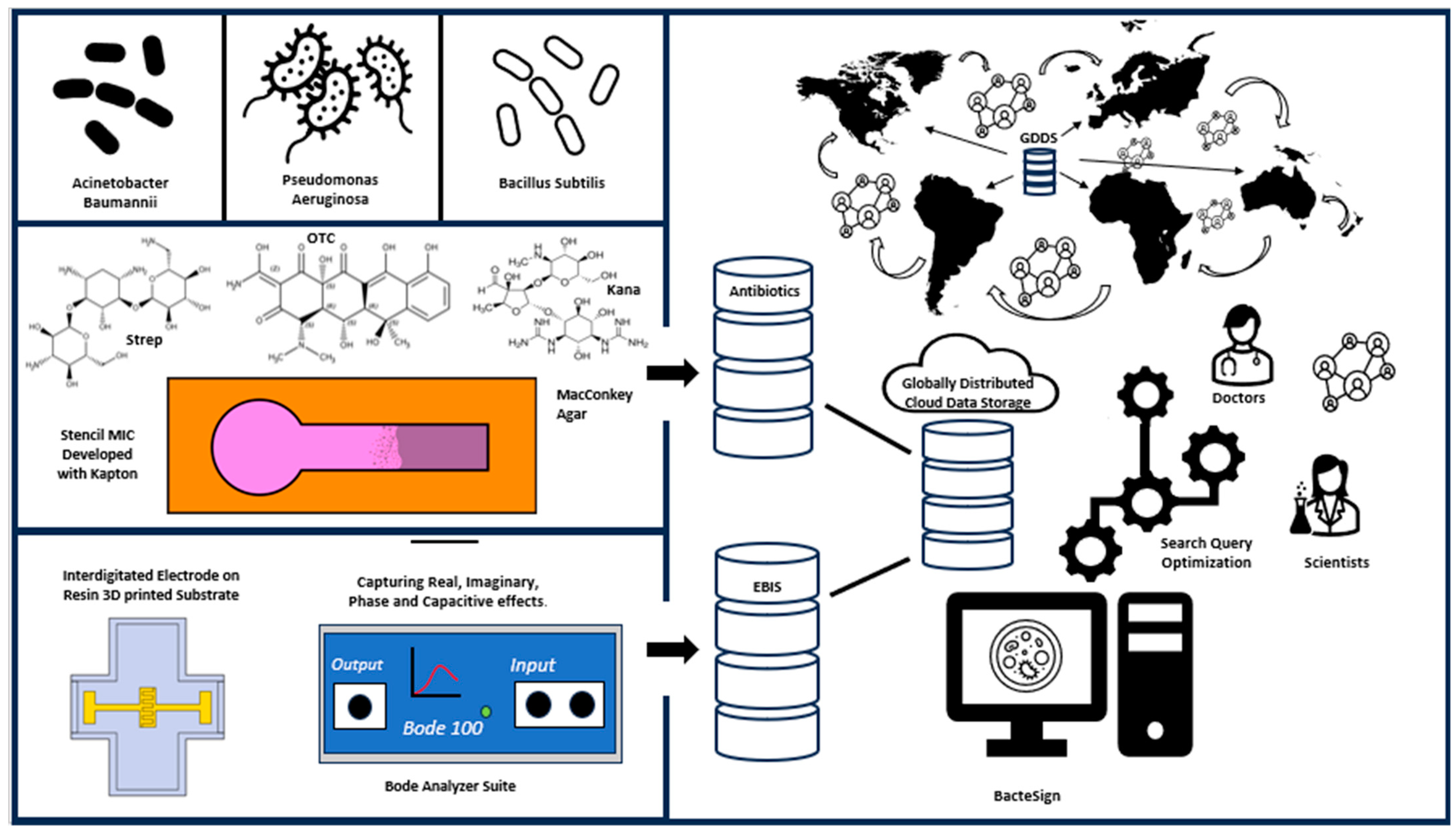 Biosensors | Free Full-Text | BacteSign: Building a Findable, Accessible,  Interoperable, and Reusable (FAIR) Database for Universal Bacterial  Identification