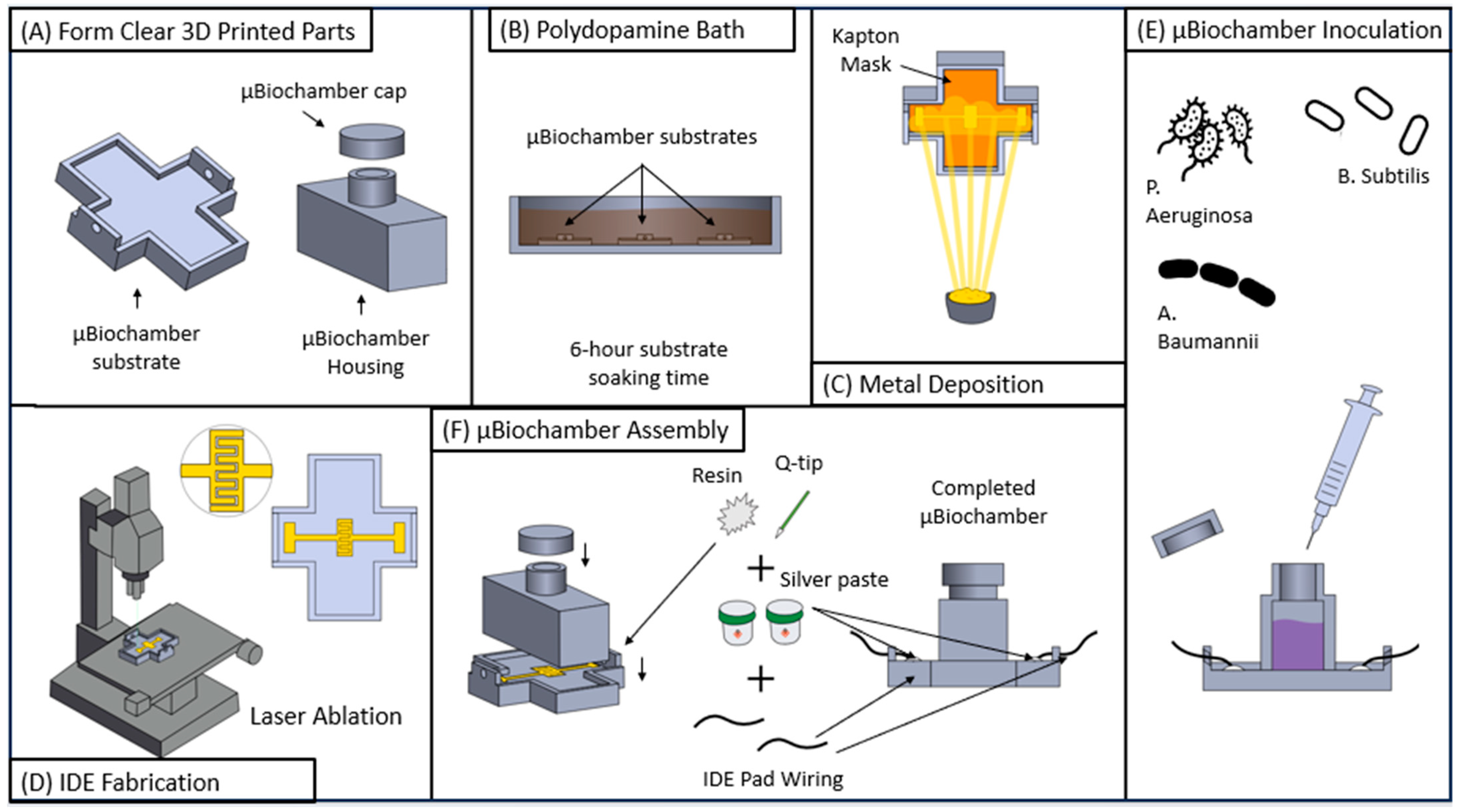 Biosensors 14 00176 g002