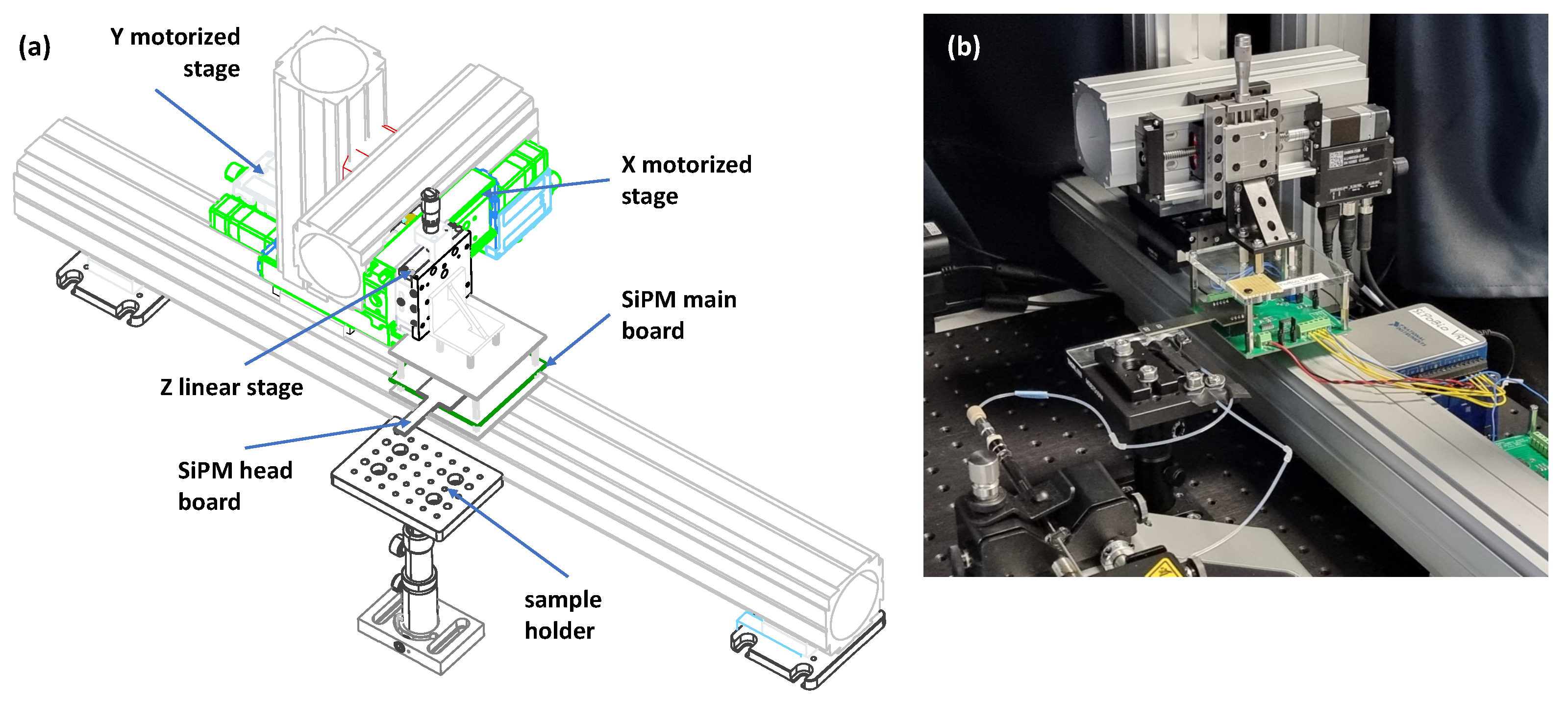 Biosensors 14 00184 g001