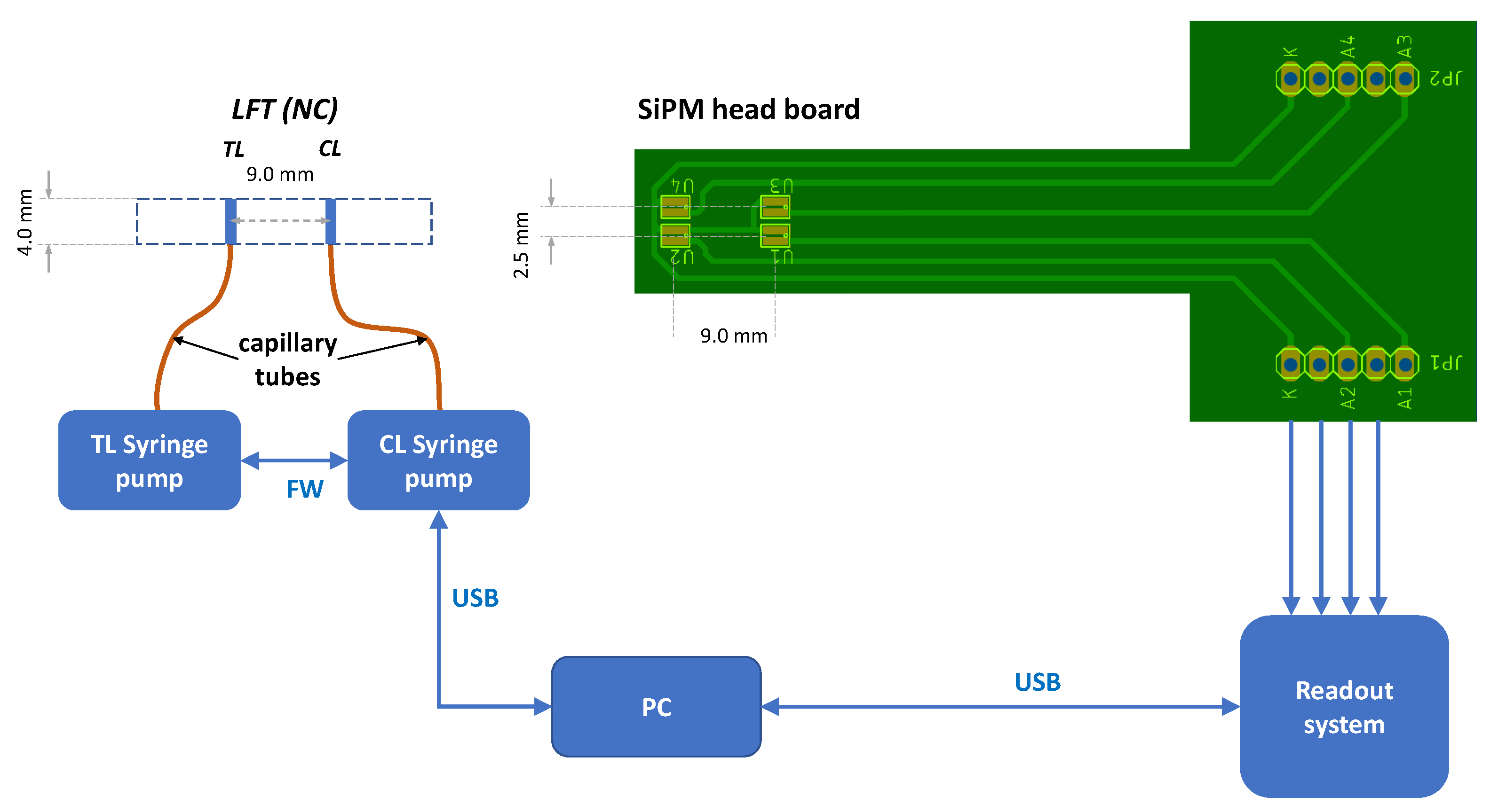 Biosensors 14 00184 g002