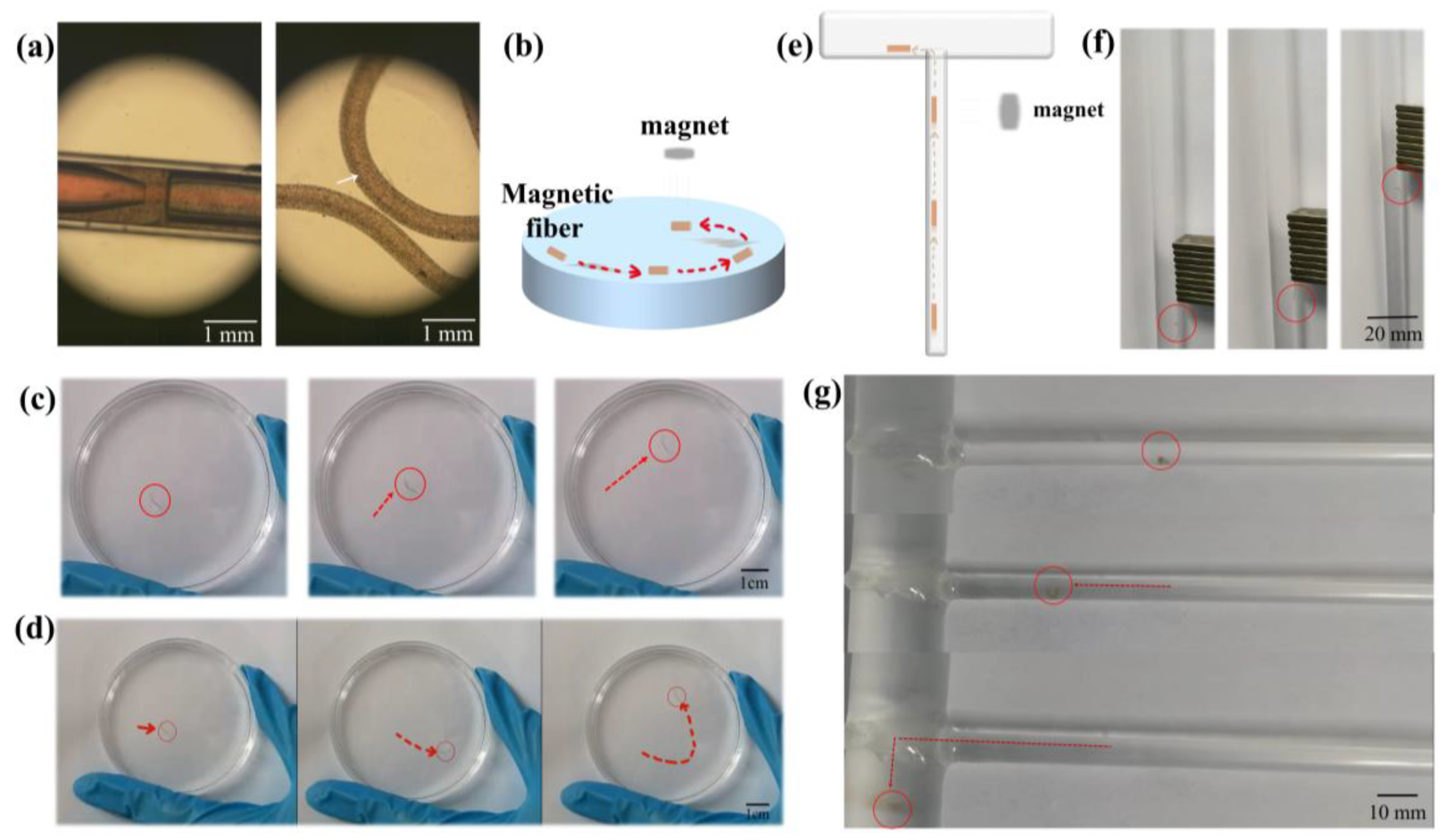 Biosensors 14 00186 g004