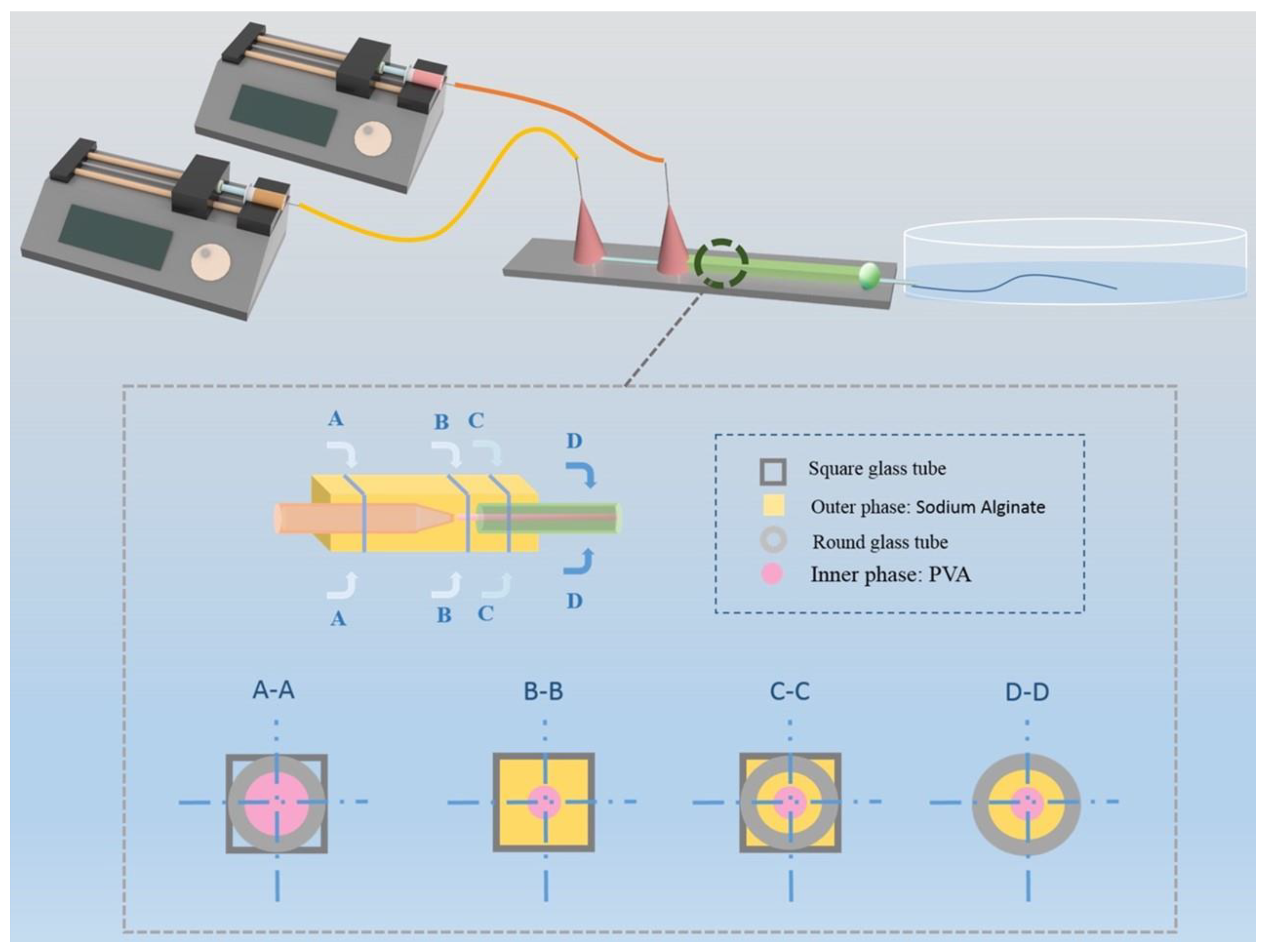 Biosensors 14 00186 sch001