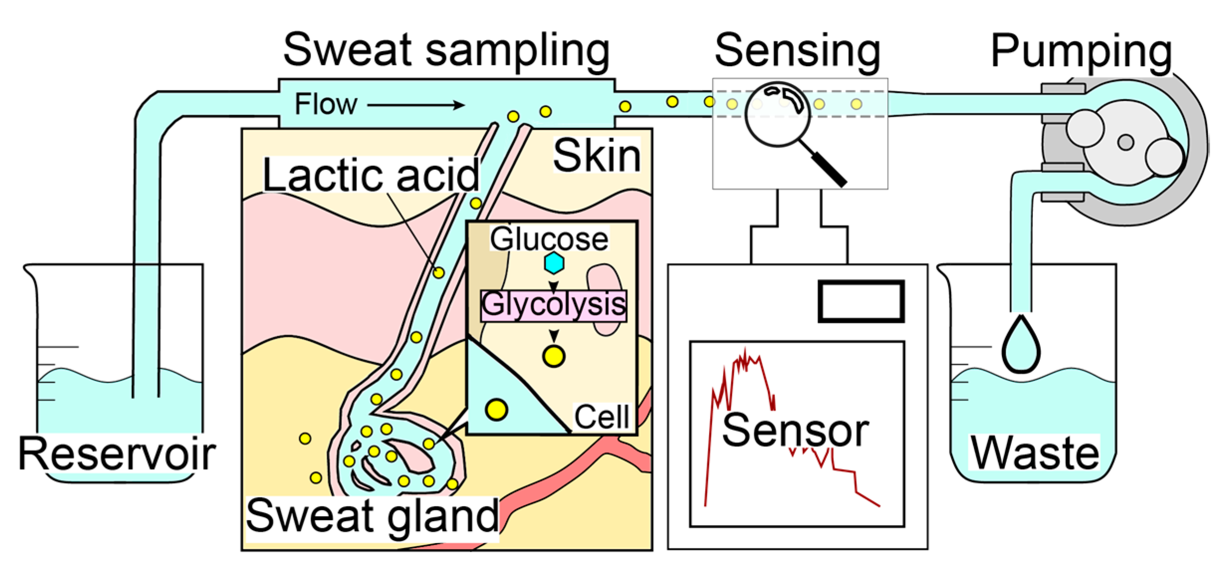 Biosensors 14 00187 g001