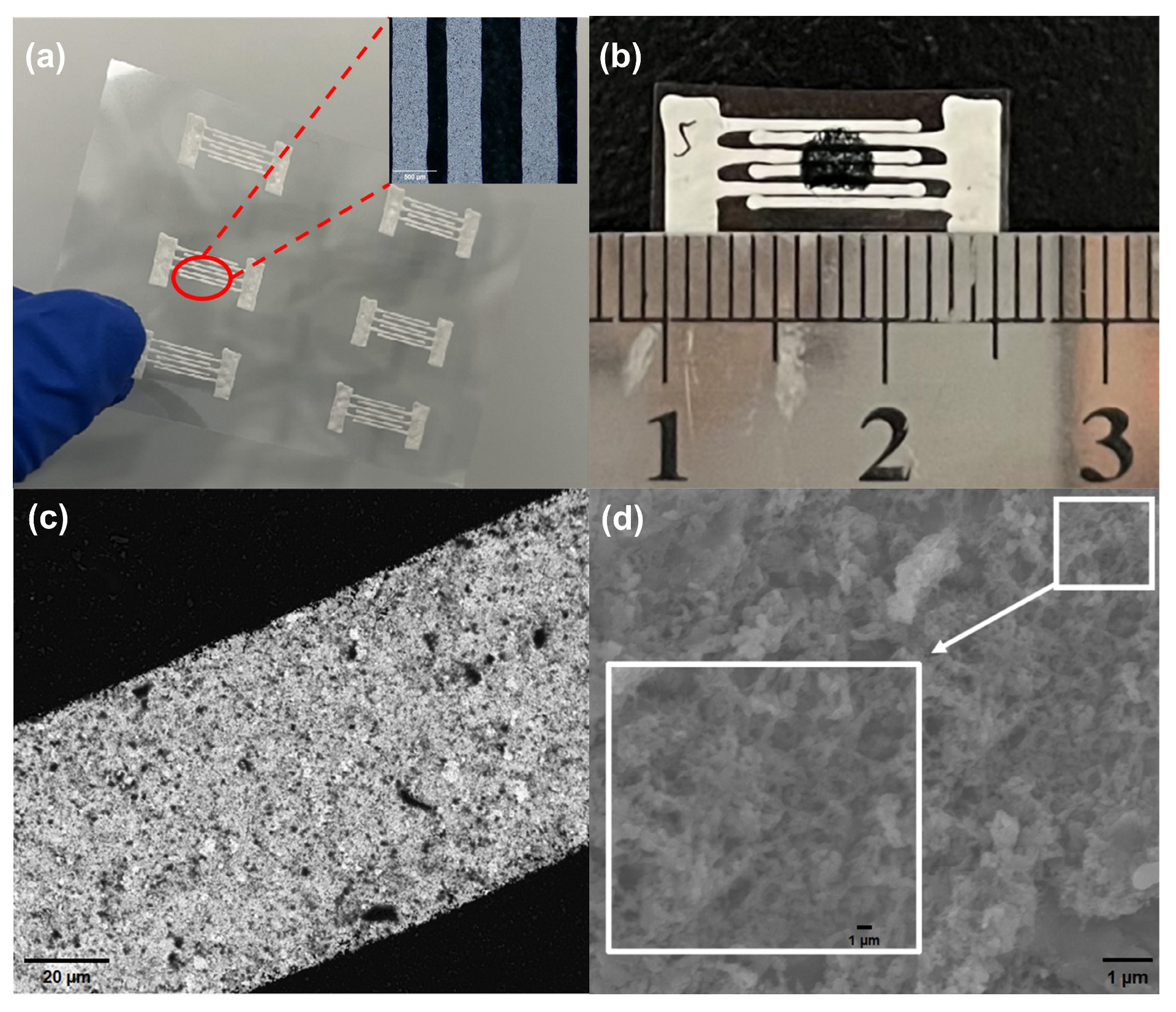 Biosensors 14 00191 g003