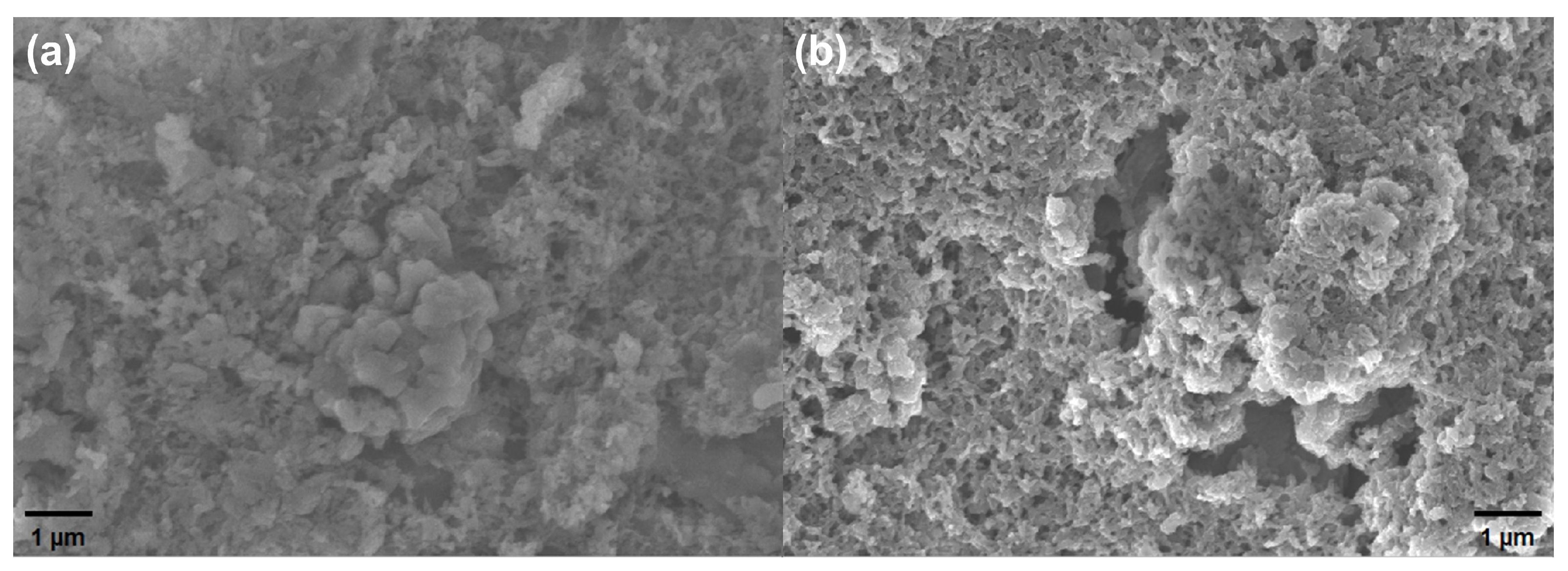 Biosensors 14 00191 g007