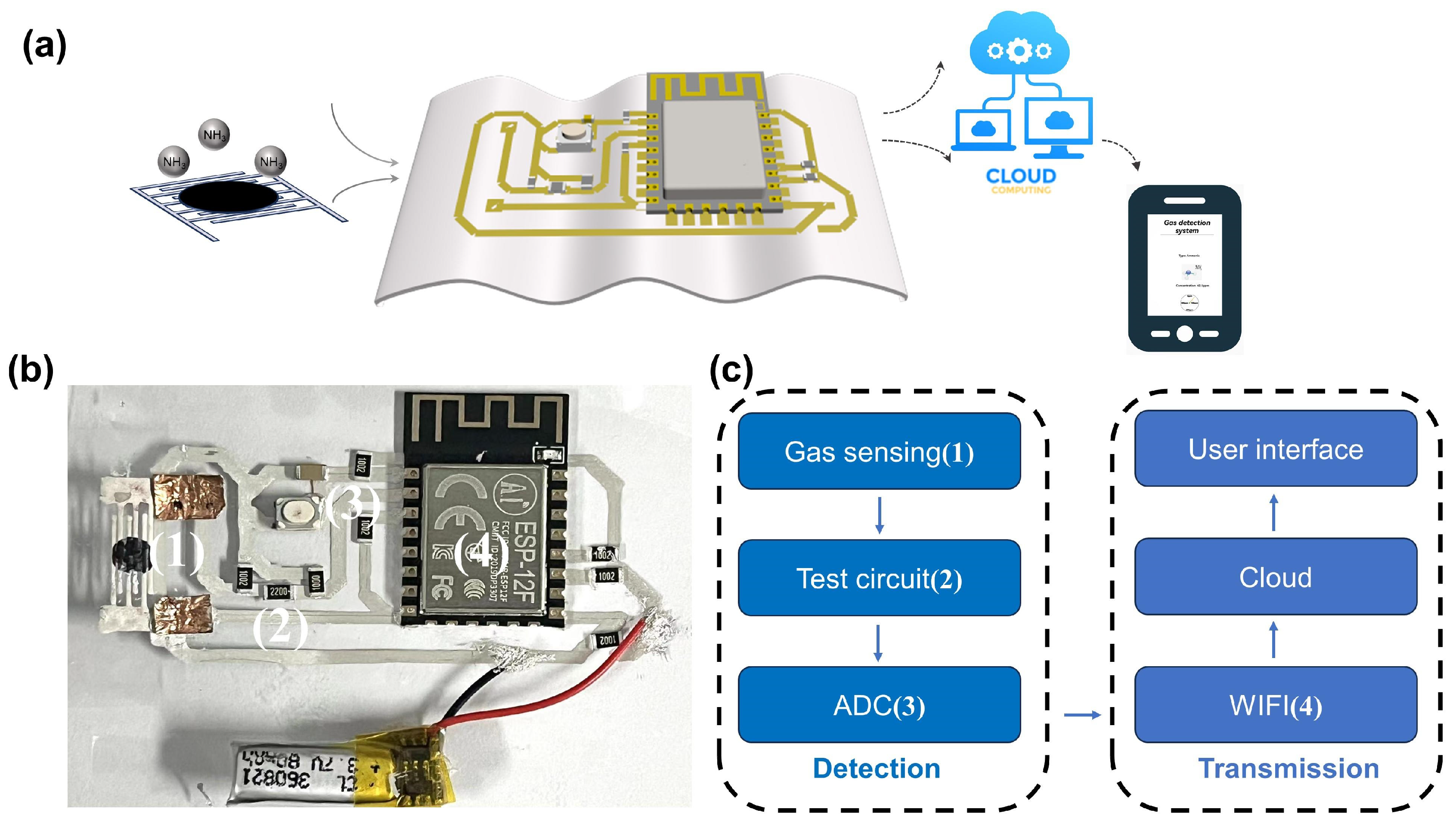 Biosensors 14 00191 g008