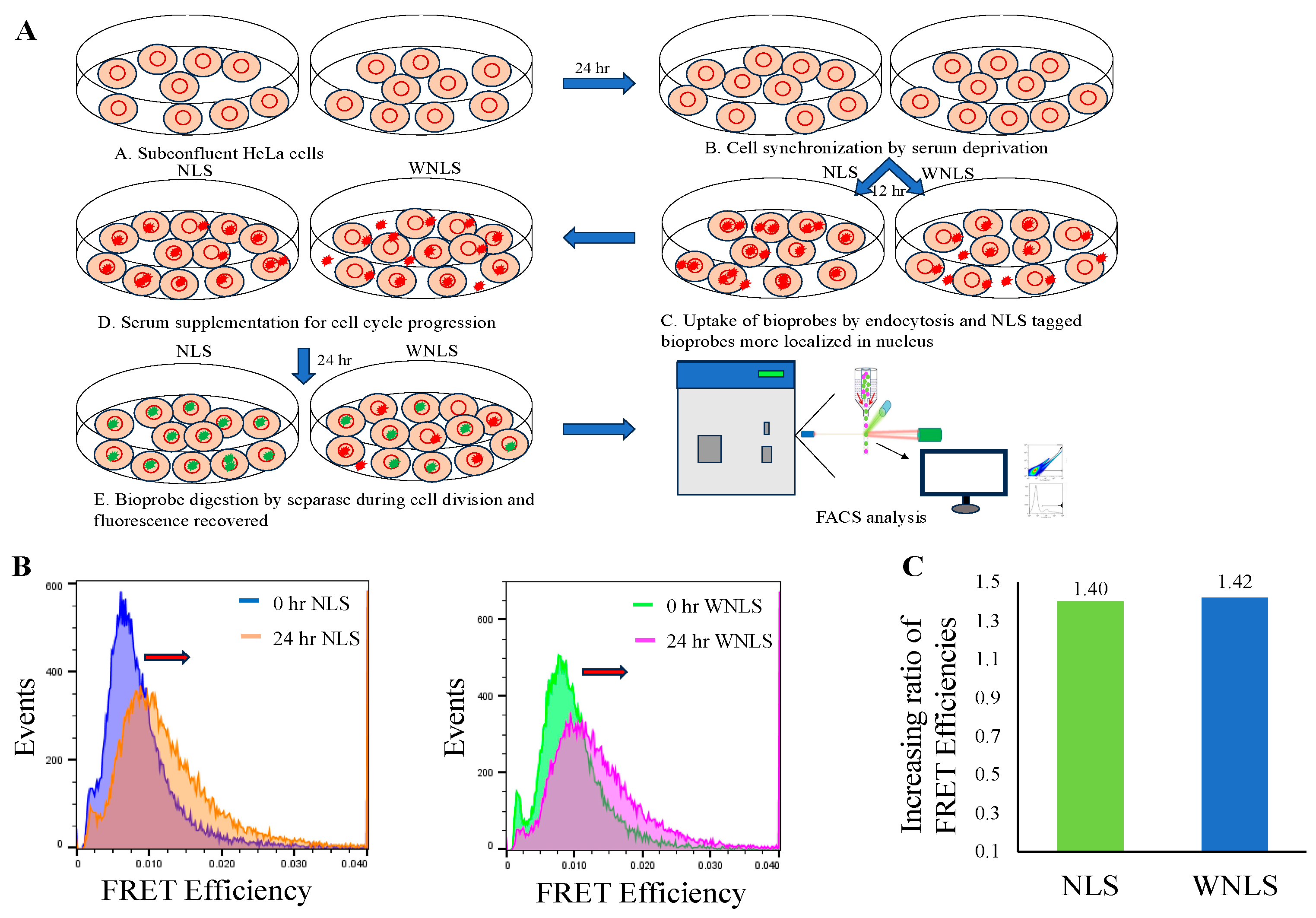 Biosensors 14 00192 g005