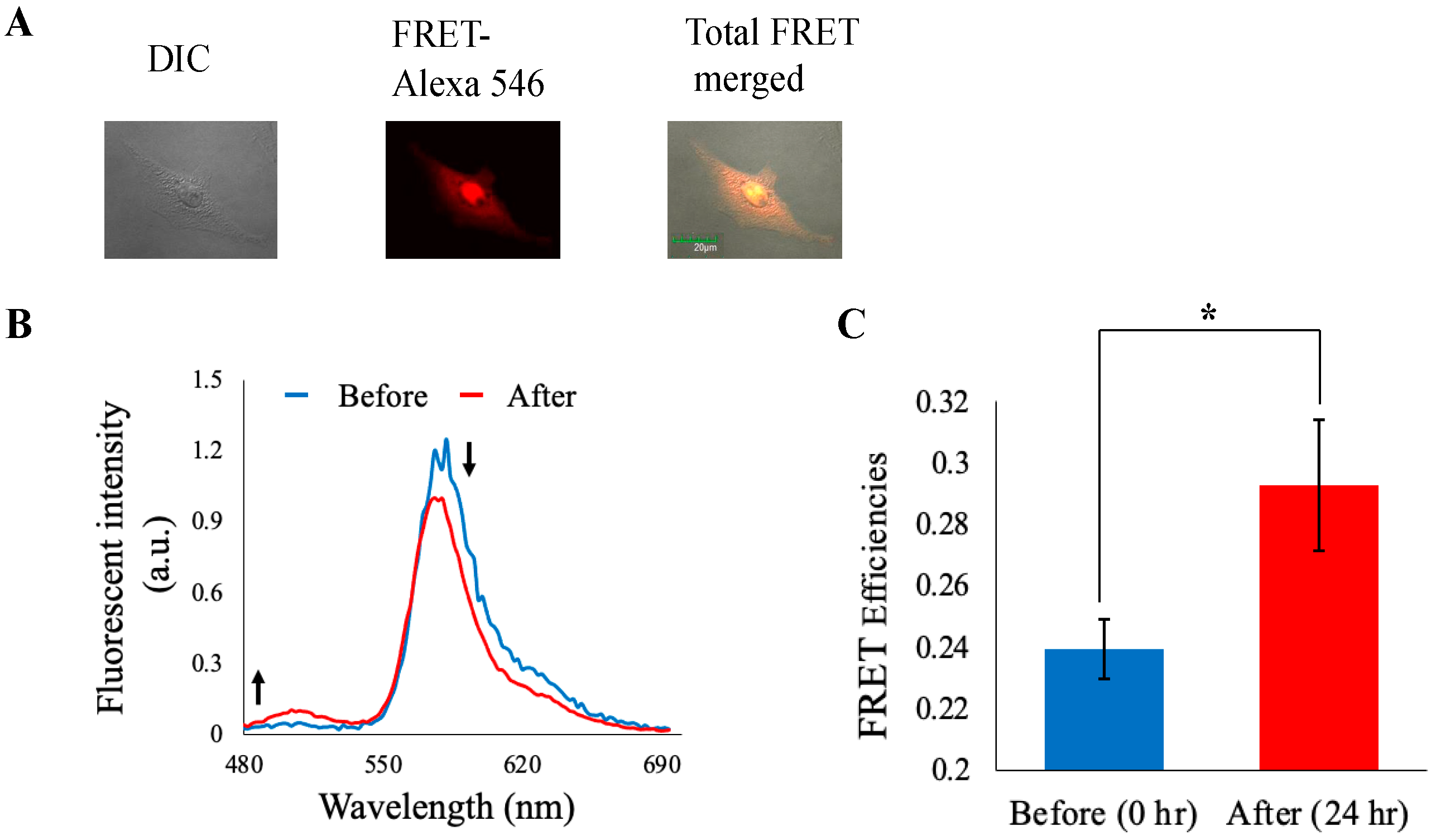 Biosensors 14 00192 g006