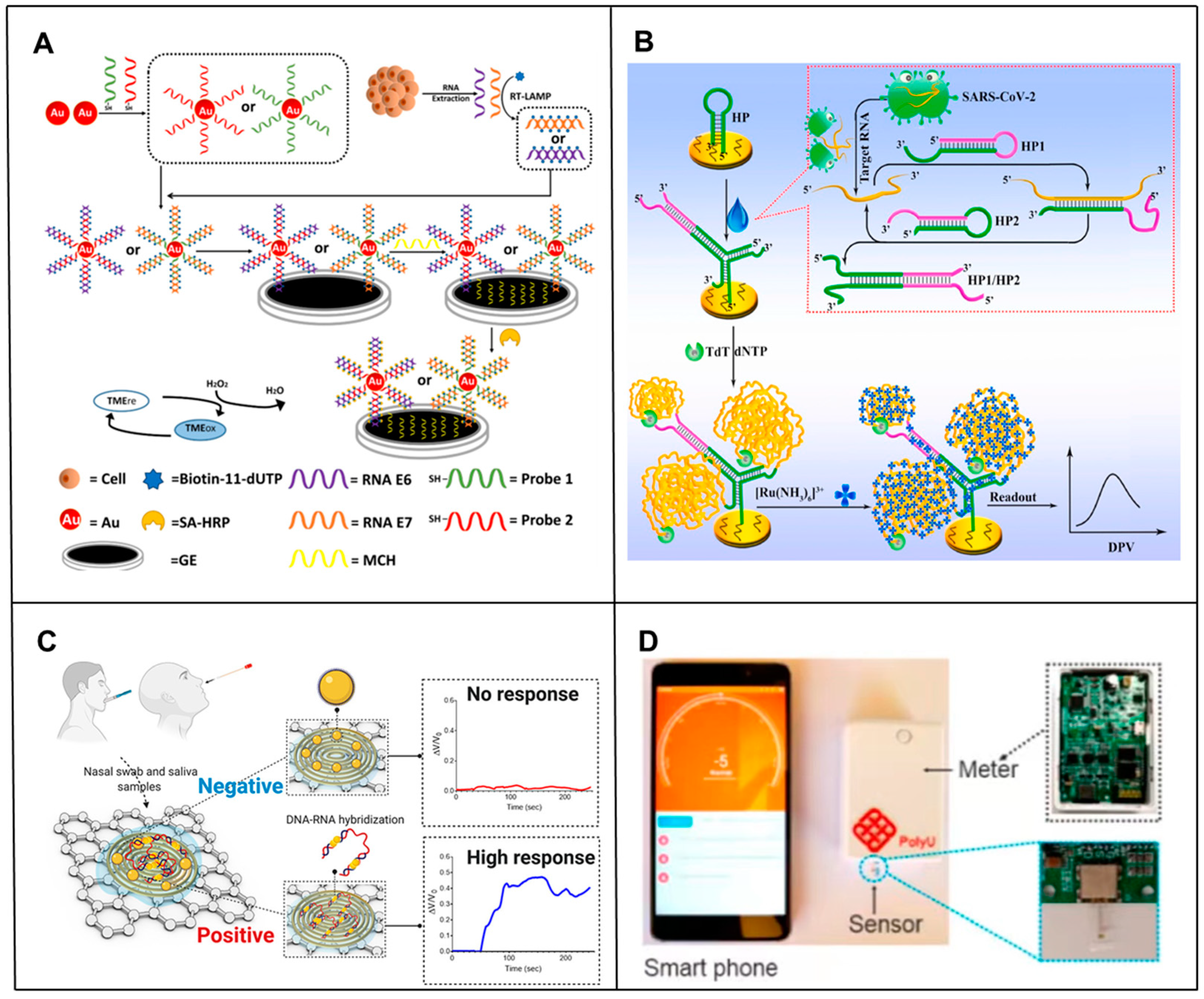 Biosensors 14 00200 g002