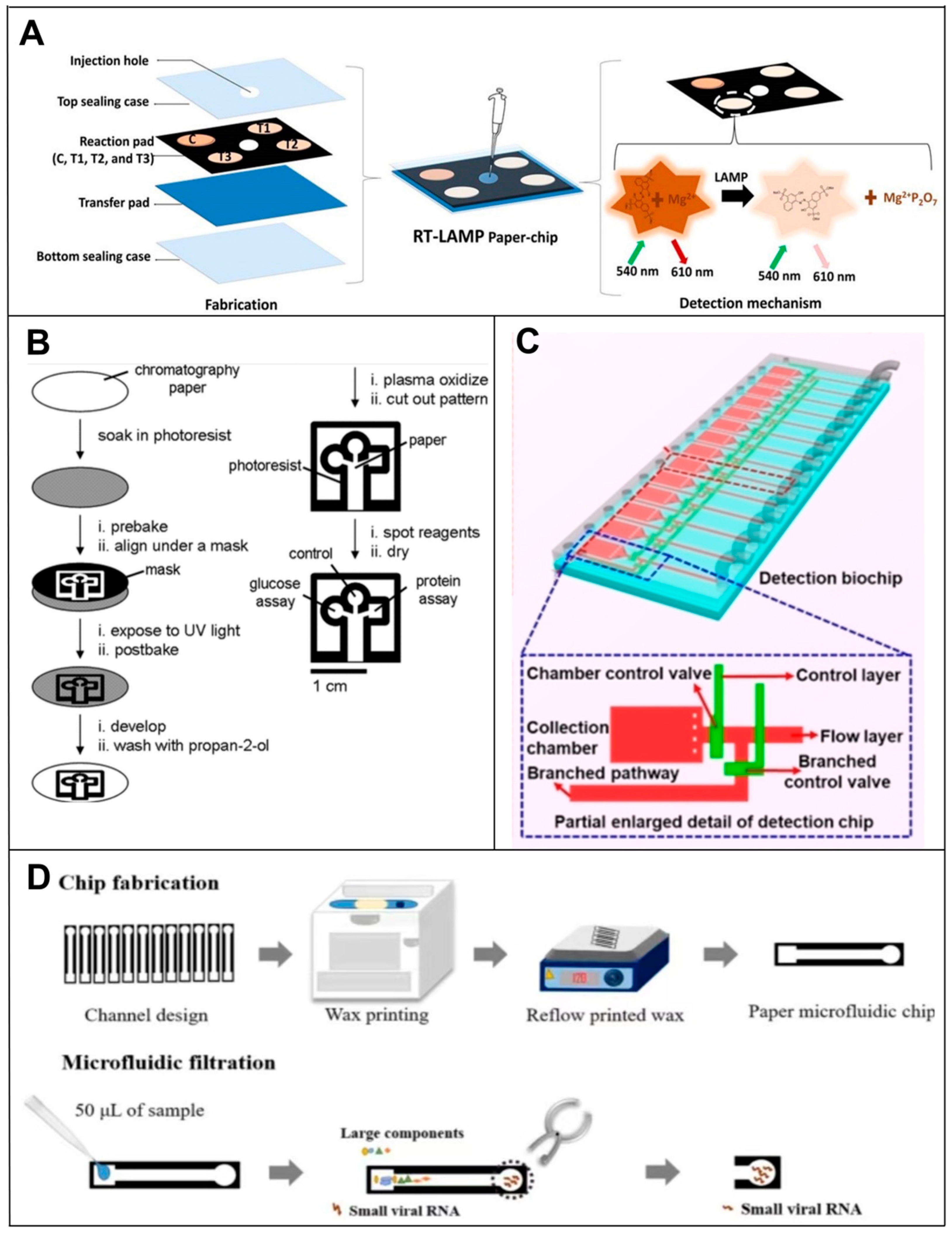 Biosensors 14 00200 g004