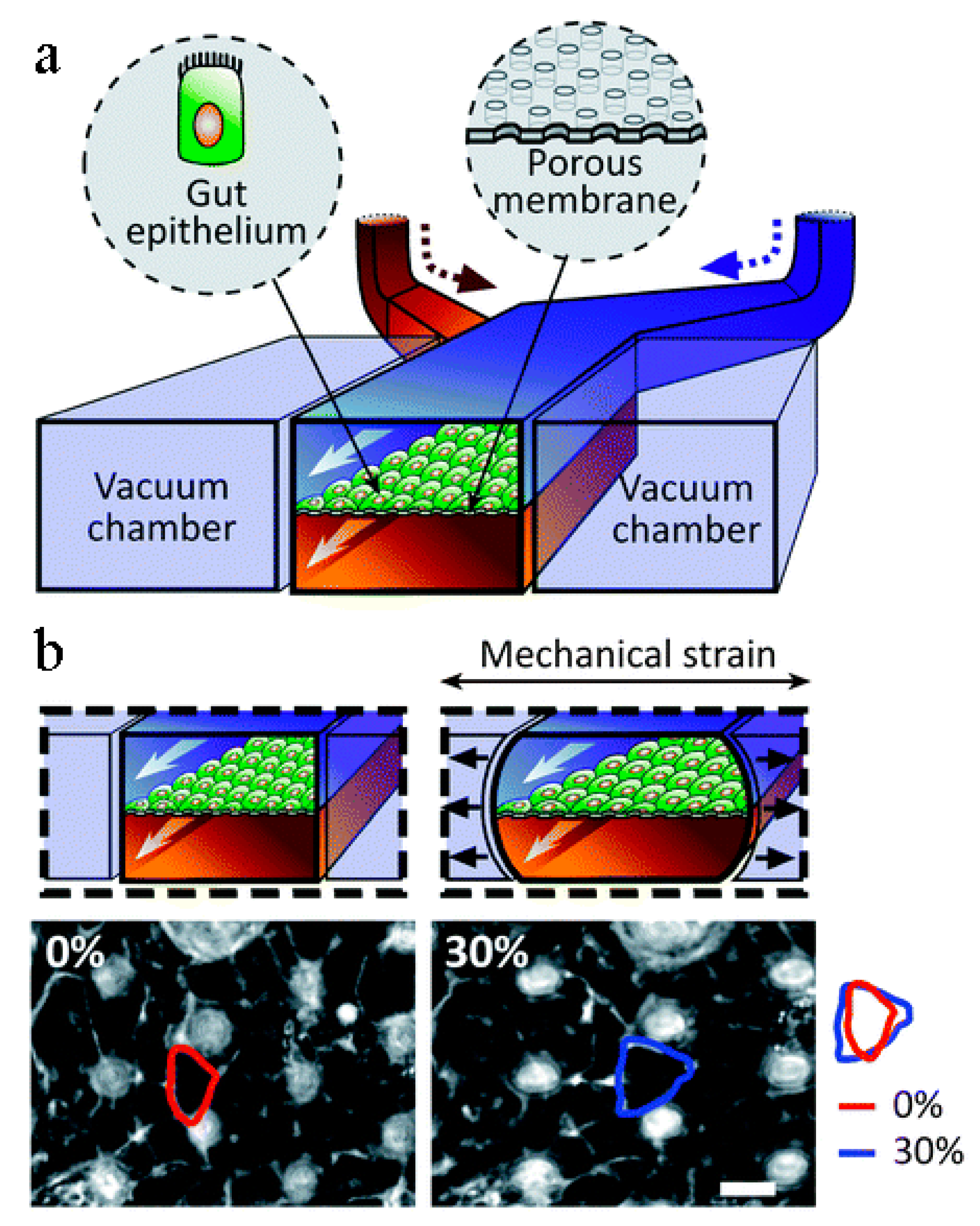 Biosensors 14 00225 g005 Biosensors 14 00225 g005